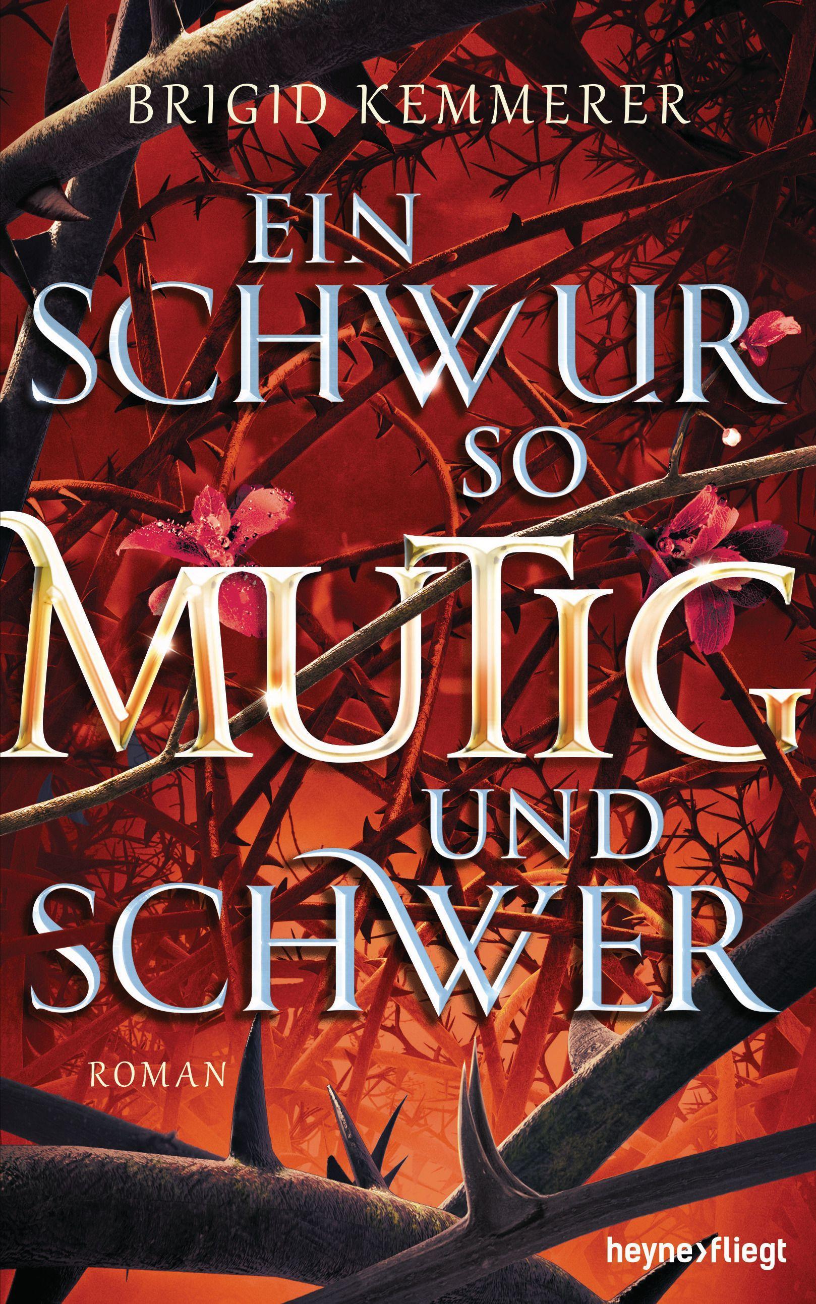 Vorderes Coverbild Ein Schwur so mutig und schwer