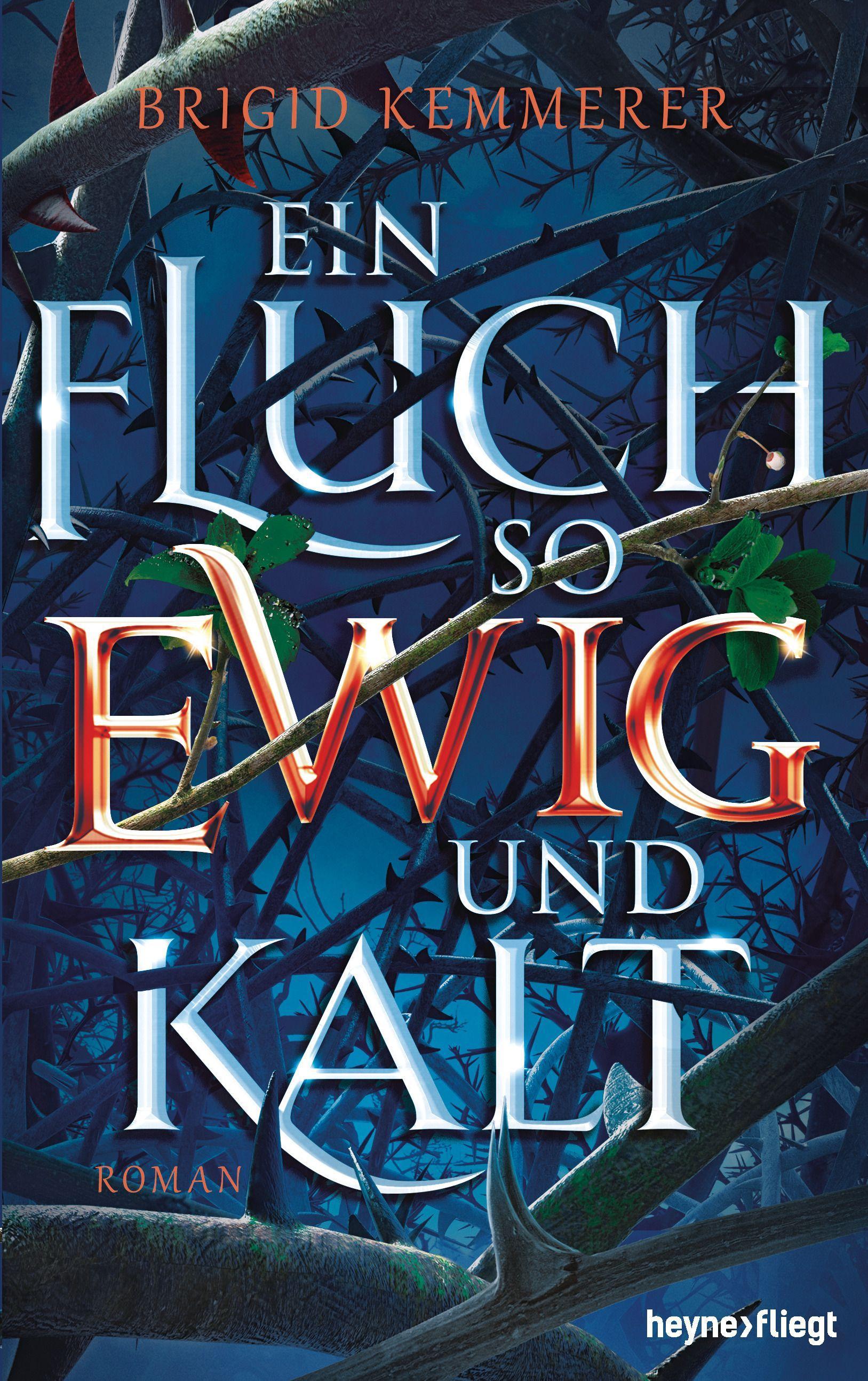 Vorderes Coverbild Ein Fluch so ewig und kalt