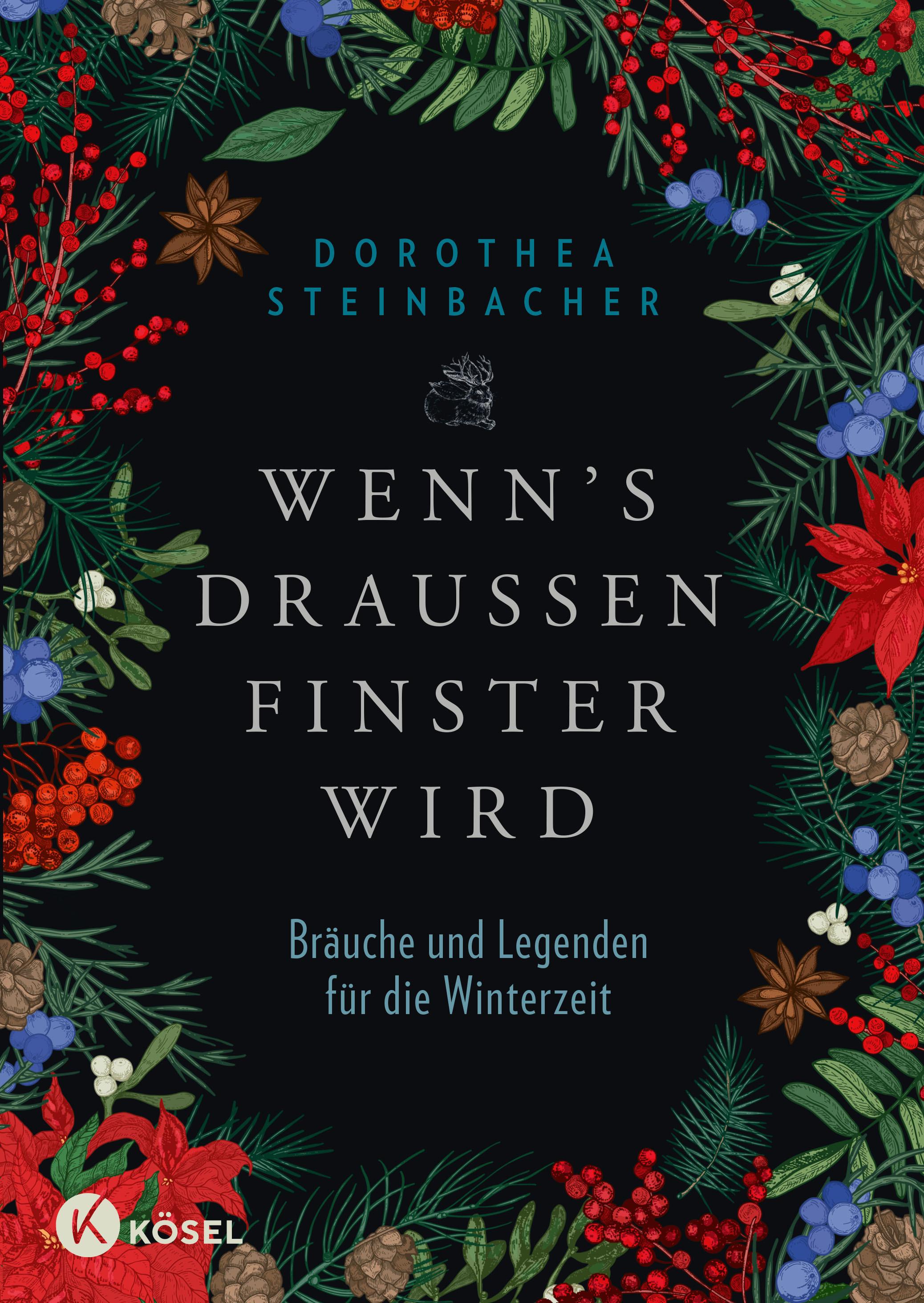 Vorderes Coverbild Wenn's draußen finster wird