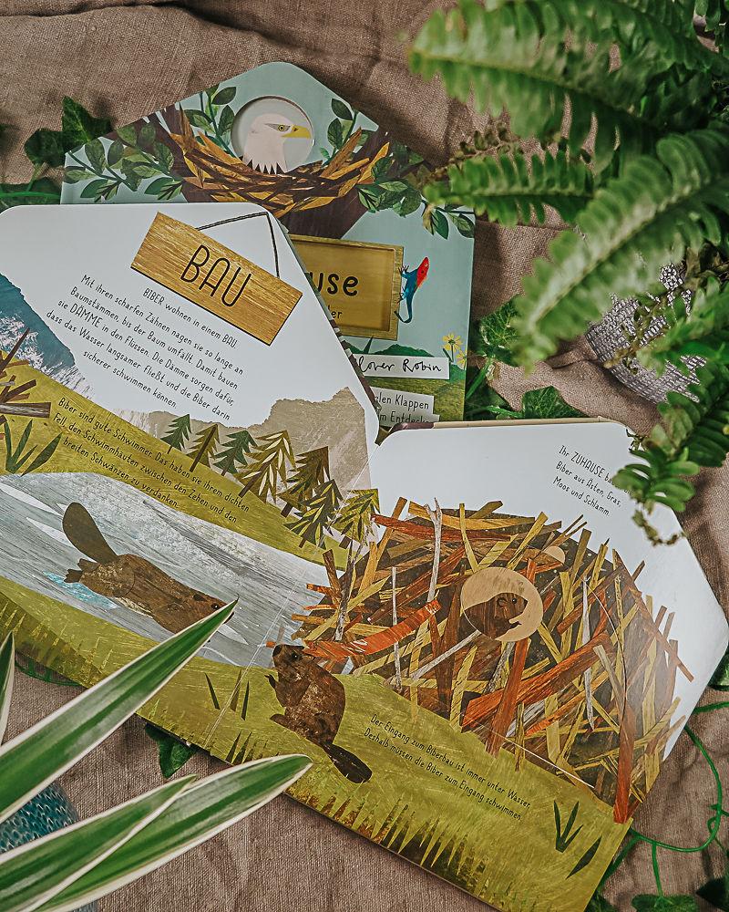 Beispielinhalt (Bild) Mein Zuhause - Kaninchen, Fuchs und Adler