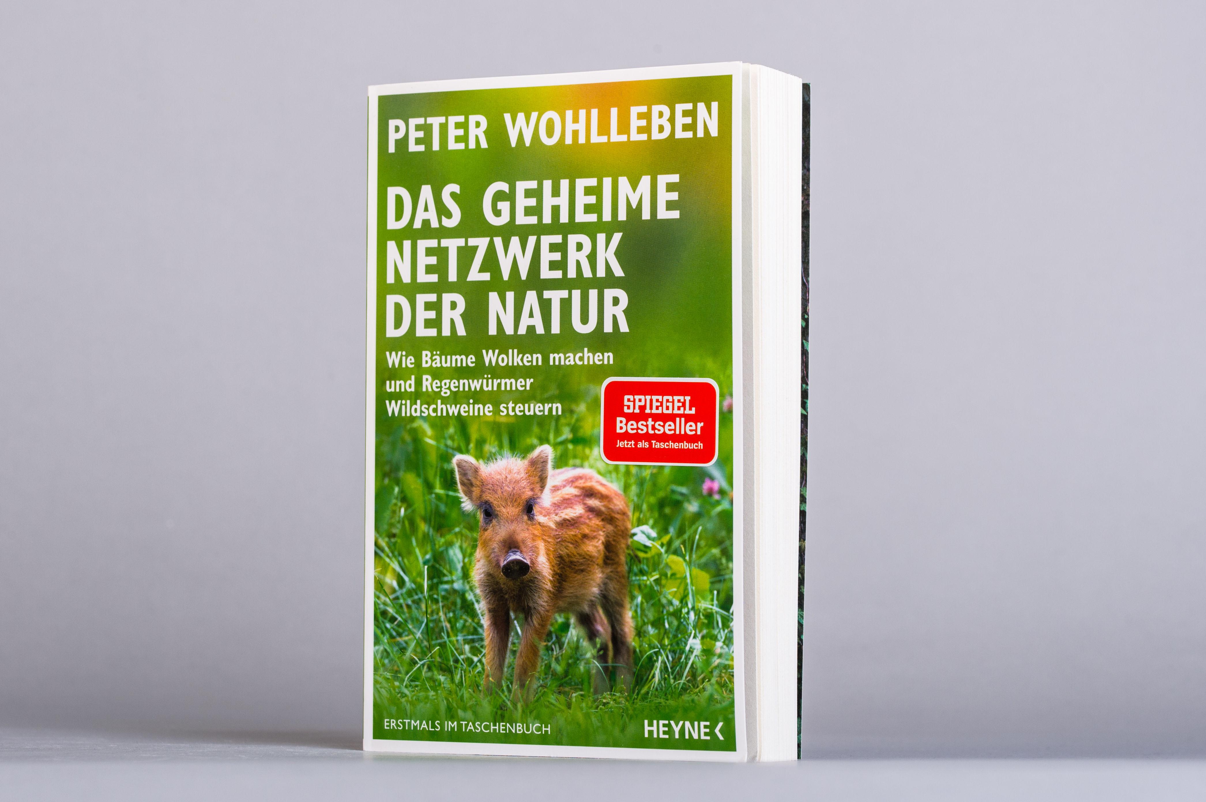 Beispielinhalt (Bild) Das geheime Netzwerk der Natur
