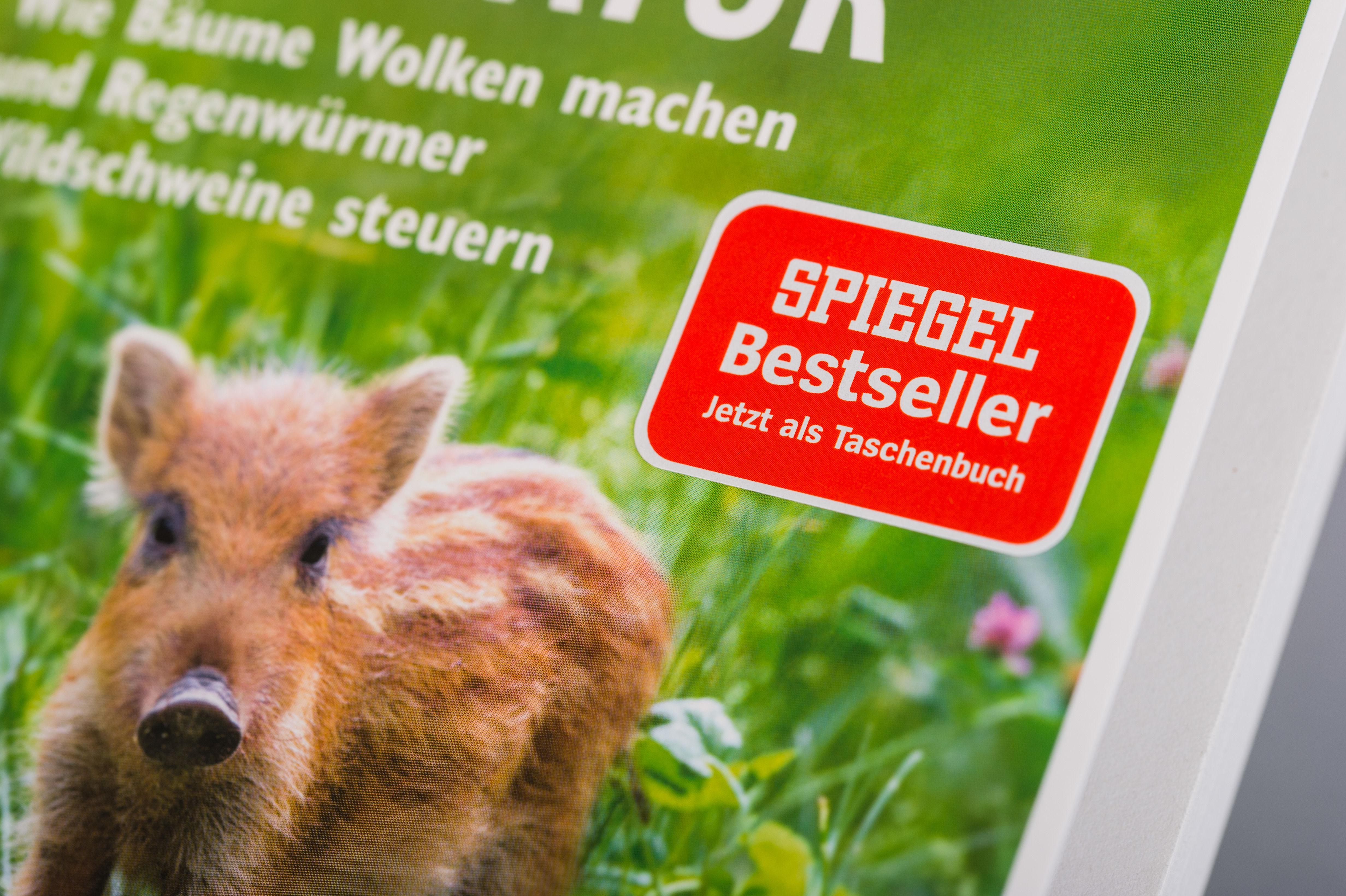 Beispielinhalt (Bild) Das geheime Netzwerk der Natur