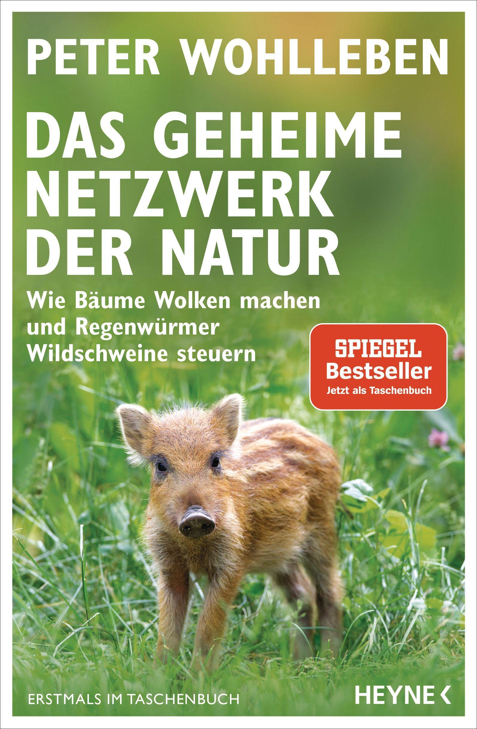 Vorderes Coverbild Das geheime Netzwerk der Natur