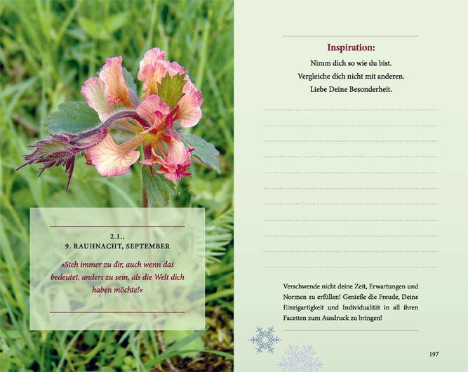 Beispielinhalt (Bild) Rauhnächte: Die geheimnisvolle Zeit zwischen den Jahren (erweiterte Neuausgabe)