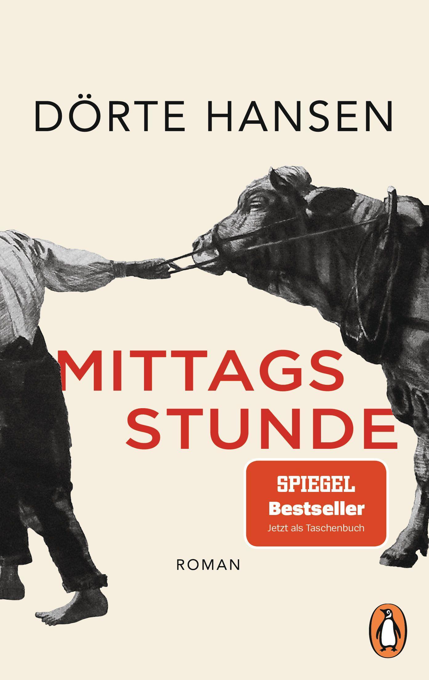 Vorderes Coverbild Mittagsstunde