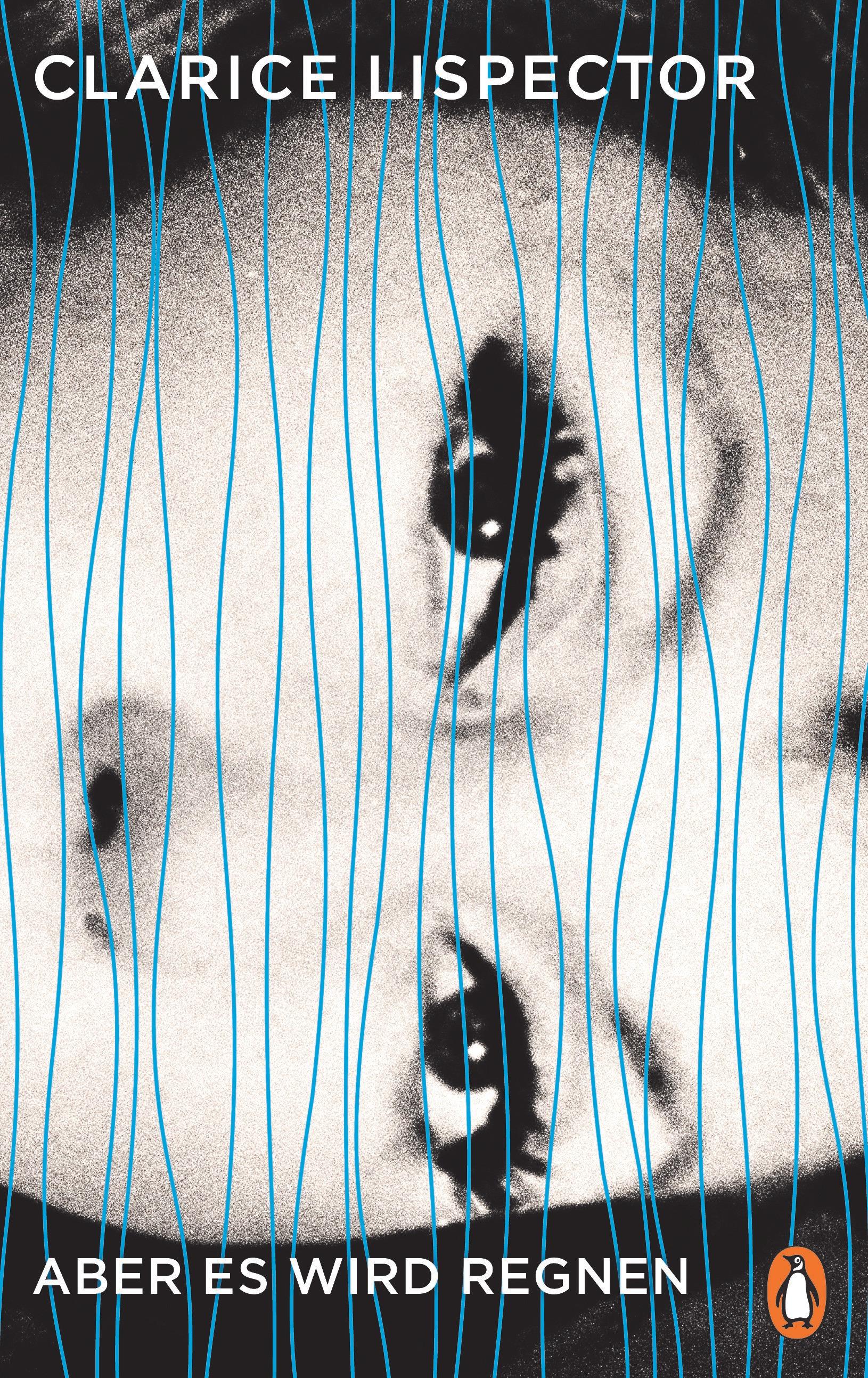 Vorderes Coverbild Aber es wird regnen