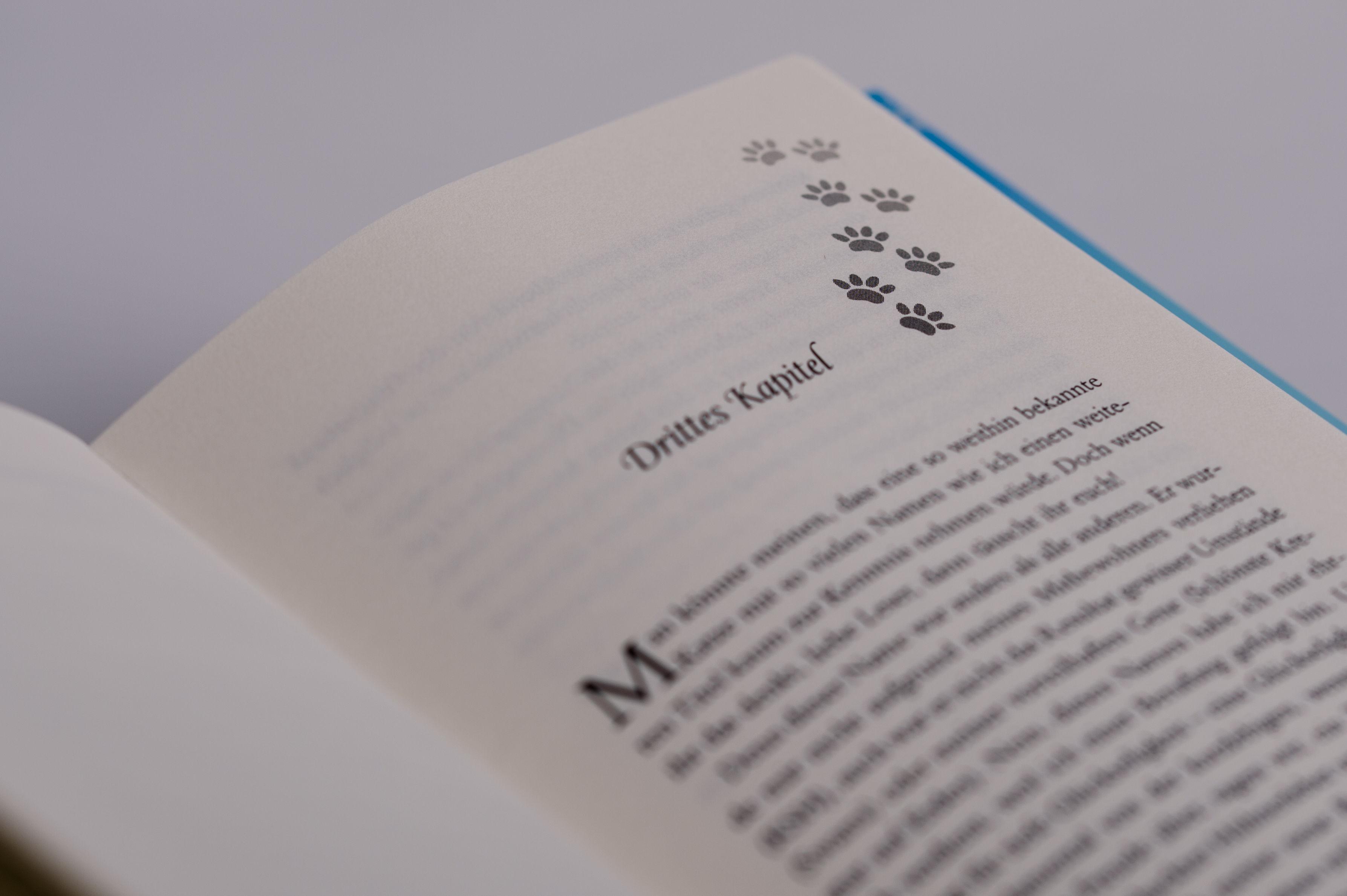 Beispielinhalt (Bild) Die Katze des Dalai Lama und die vier Geheimnisse des Glücks