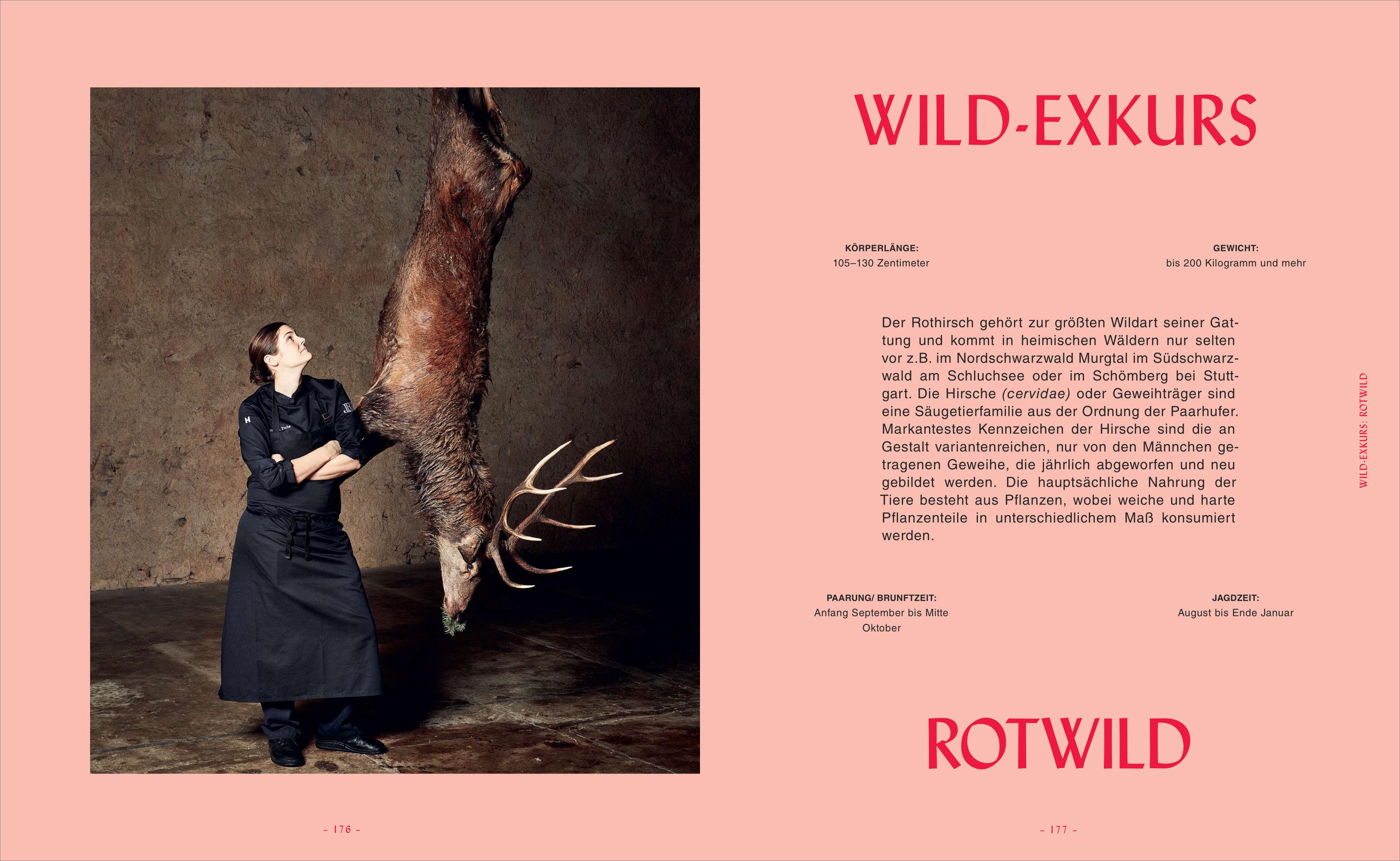 Beispielinhalt (Bild) Fuchsteufelswild - Das Wildkochbuch