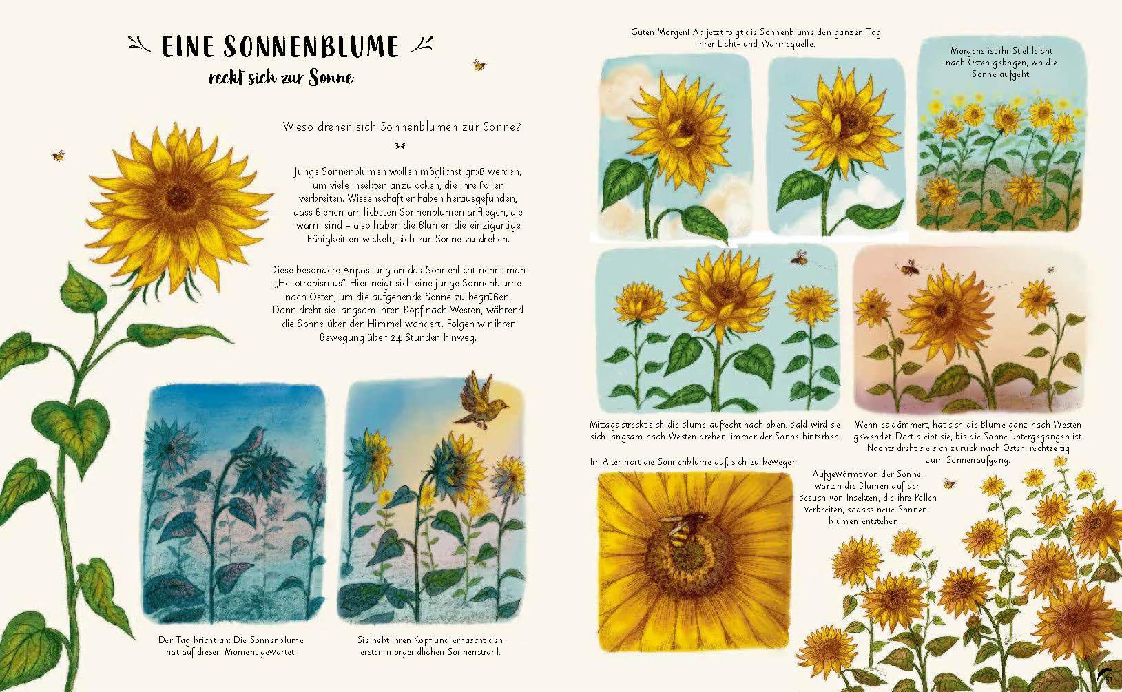 Beispielinhalt (Bild) Wunder der Natur zum Innehalten und Staunen