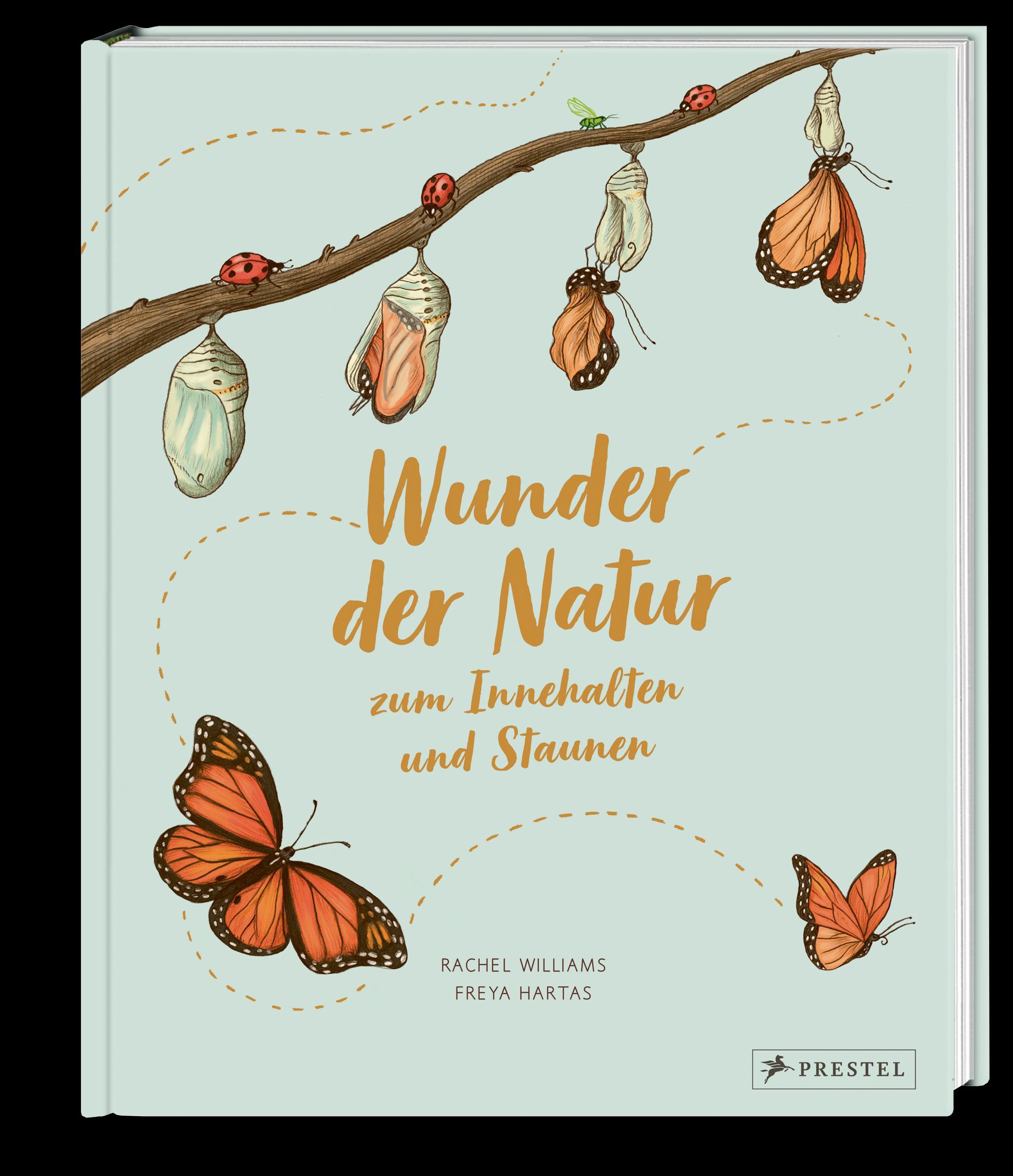 Beispielinhalt (Bild) Wunder der Natur zum Innehalten und Staunen