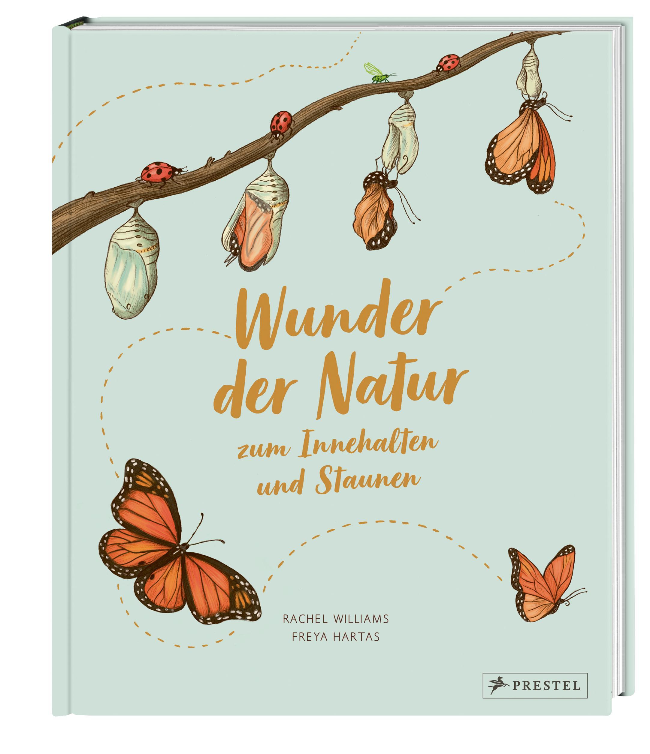 Beispielinhalt (Bild) Wunder der Natur zum Innehalten und Staunen