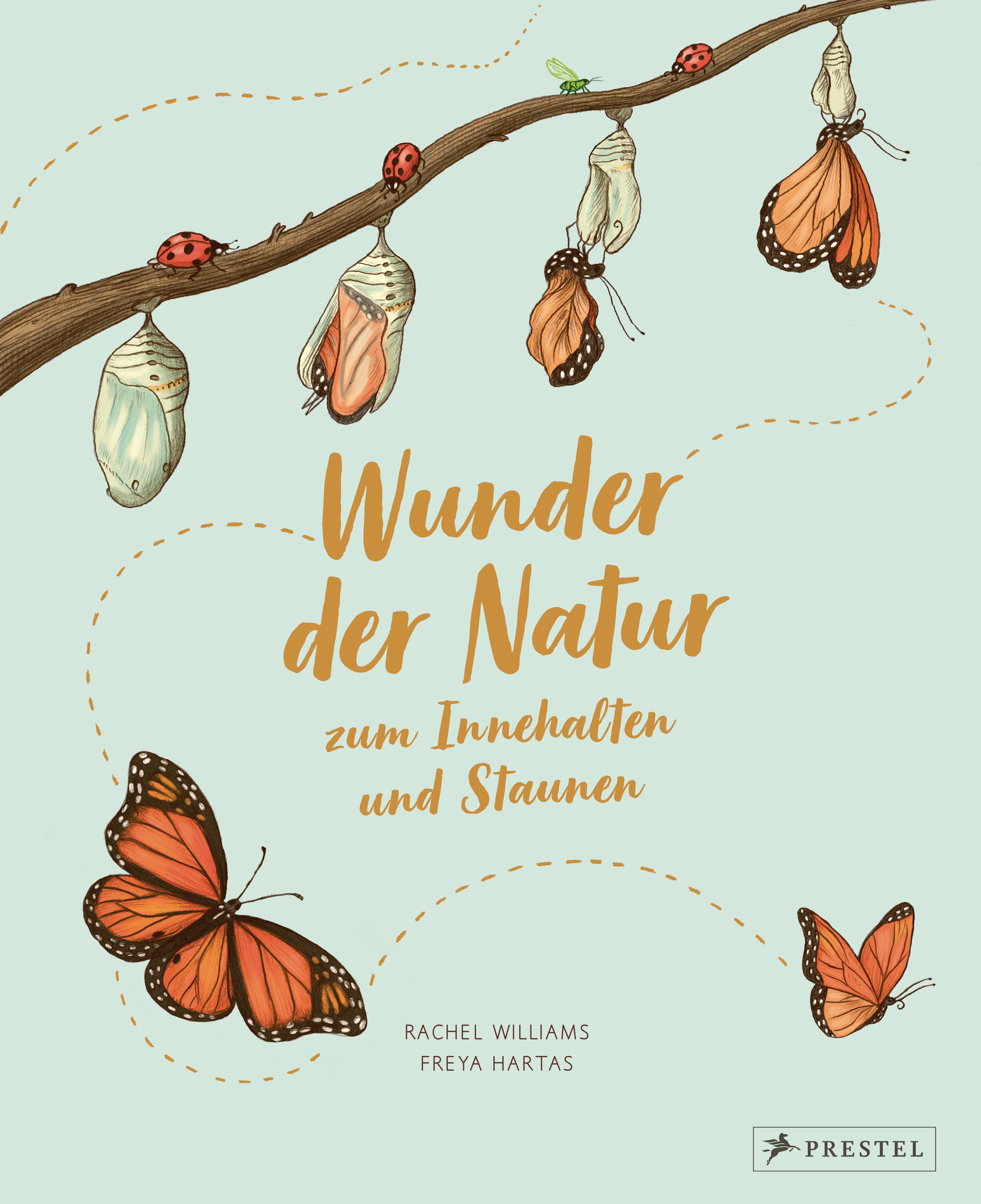 Vorderes Coverbild Wunder der Natur zum Innehalten und Staunen
