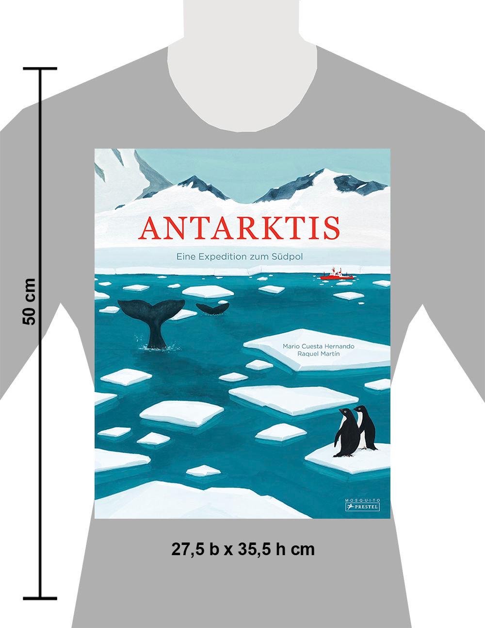 Beispielinhalt (Bild) Antarktis