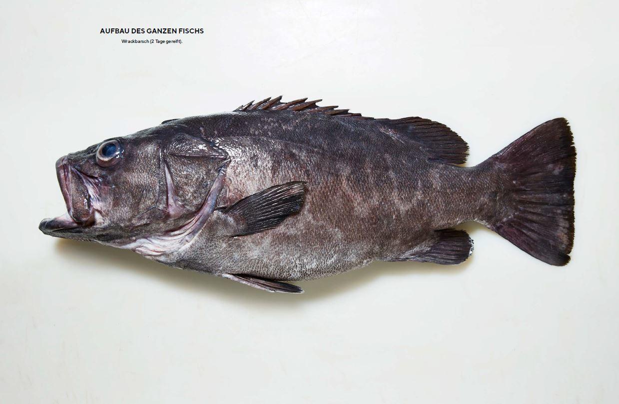 Beispielinhalt (Bild) Der ganze Fisch: Rezepte von der Flosse bis zur Kieme