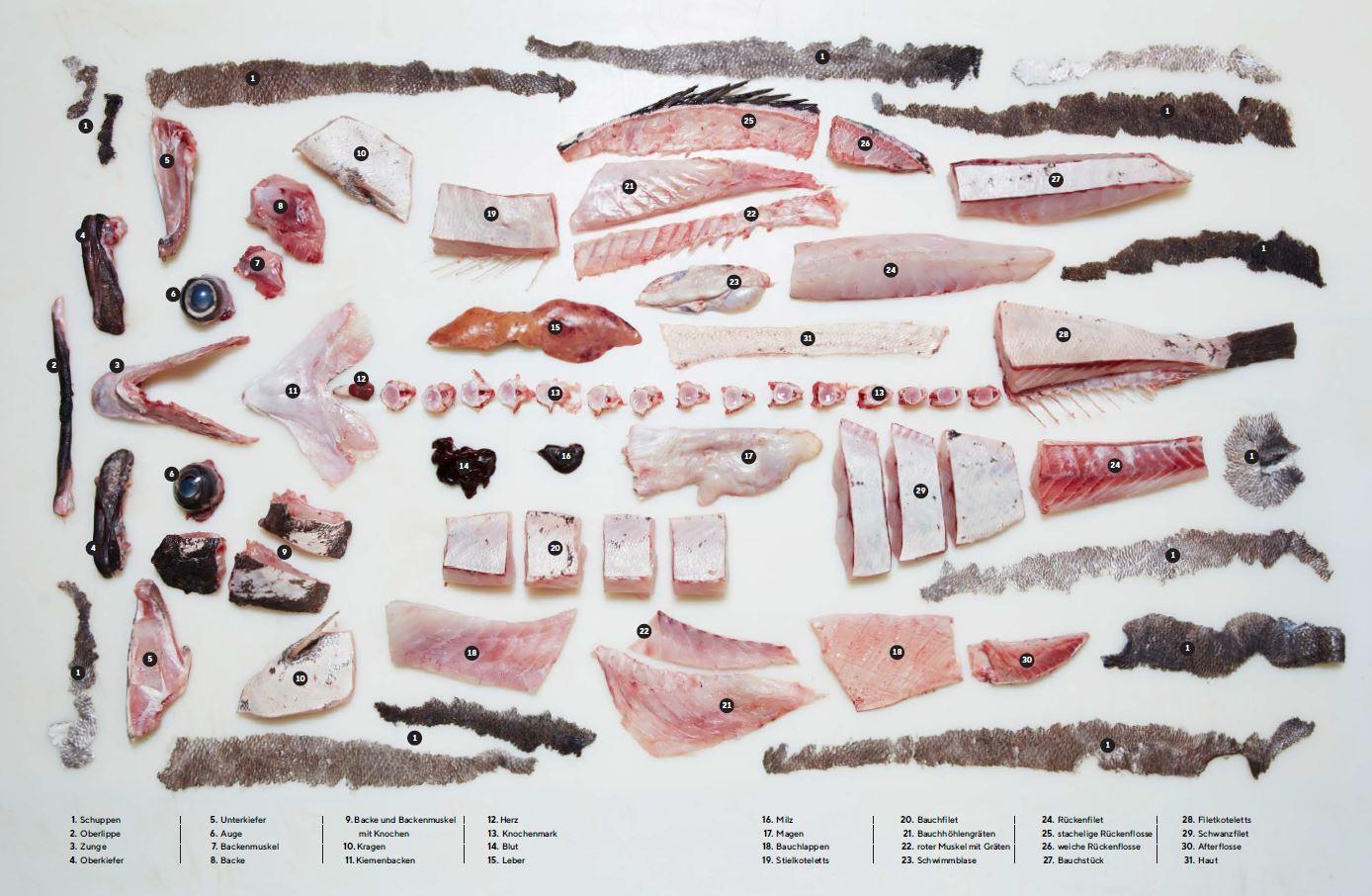 Beispielinhalt (Bild) Der ganze Fisch: Rezepte von der Flosse bis zur Kieme