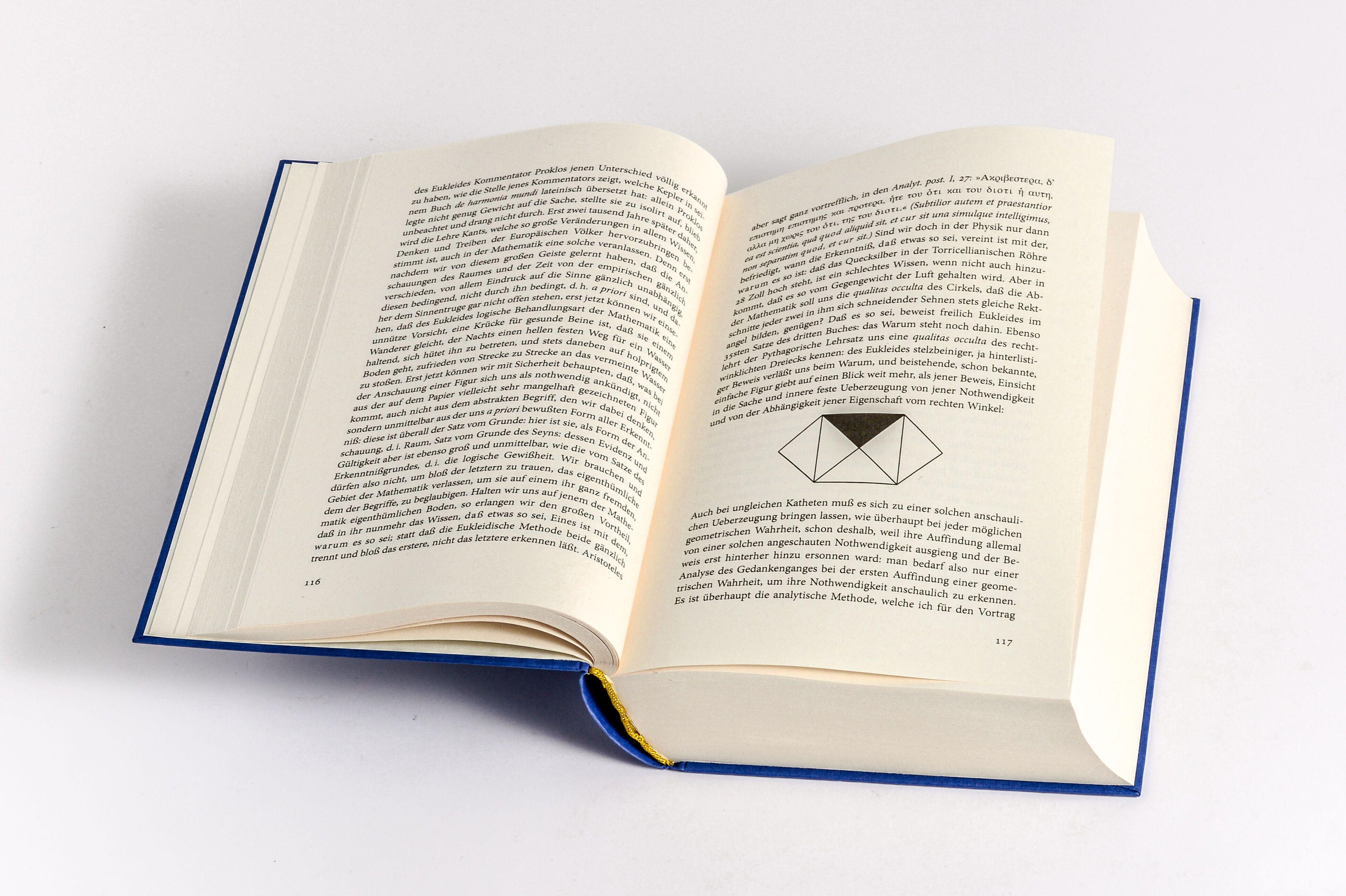 Beispielinhalt (Bild) Arthur Schopenhauer, Gesammelte Werke