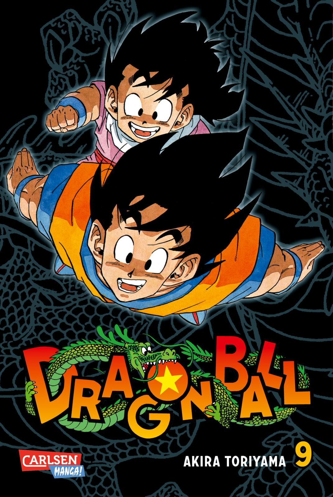 Vorderes Coverbild Dragon Ball Massiv 9