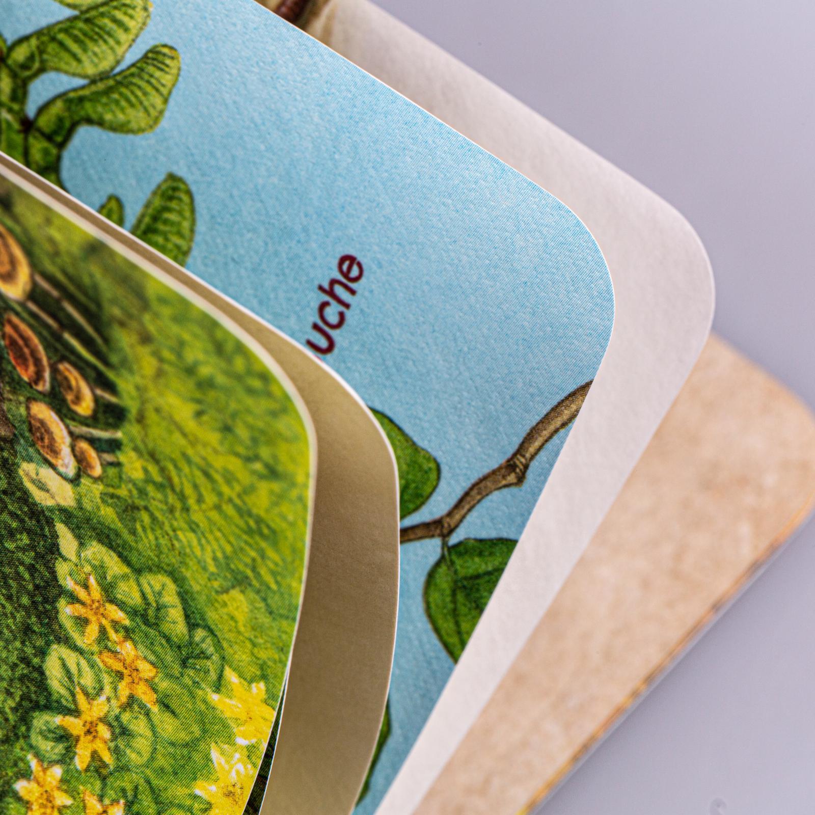 Beispielinhalt (Bild) Unkaputtbar: Erstes Wissen: Im Wald