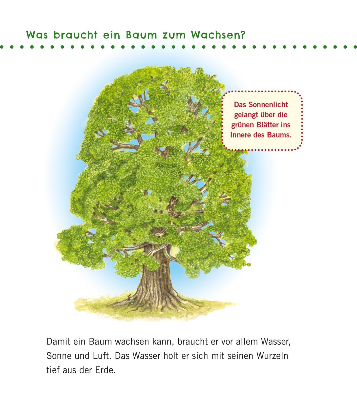 Beispielinhalt (Bild) Unkaputtbar: Erstes Wissen: Im Wald