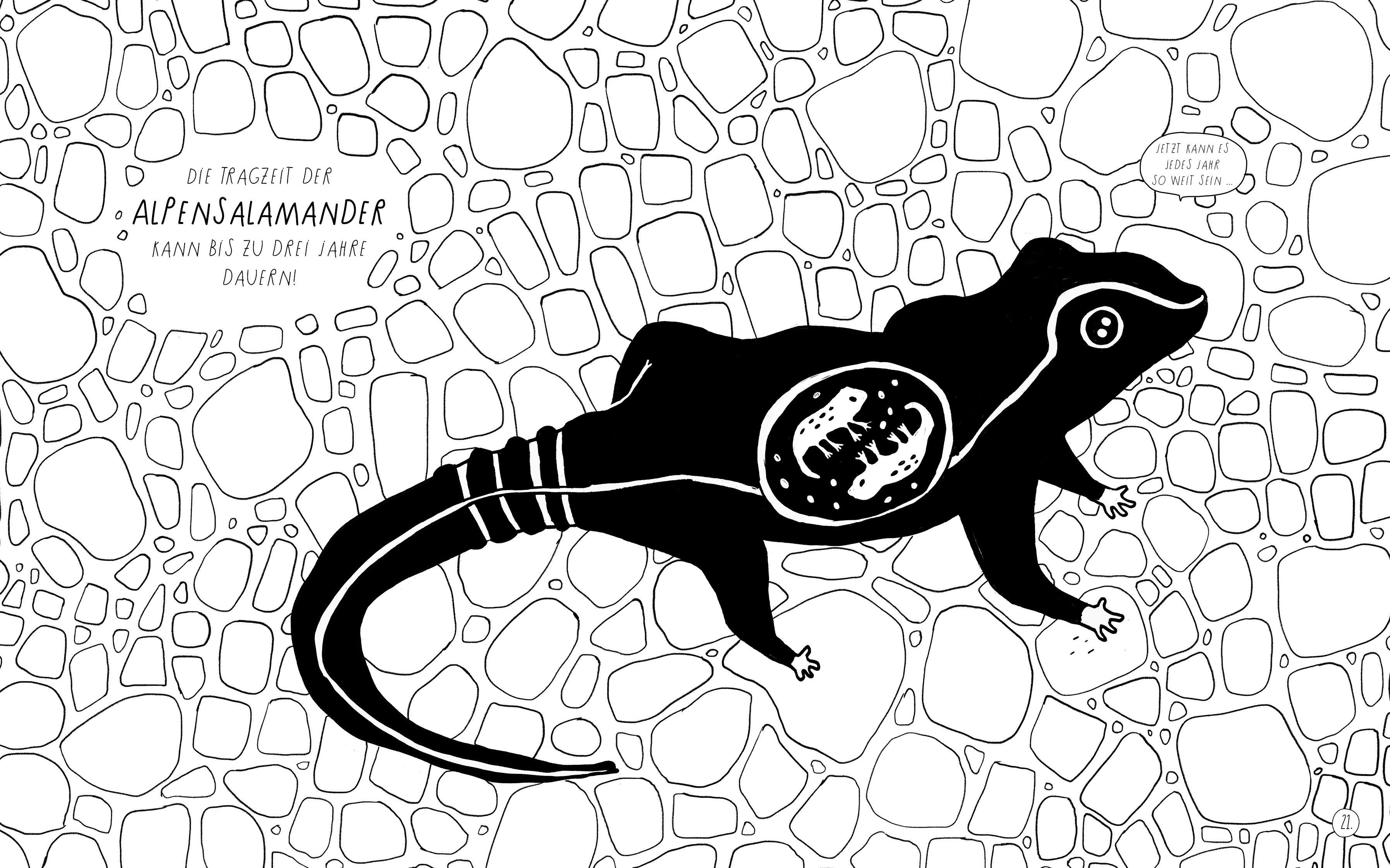 Beispielinhalt (Bild) Pinguine kuscheln gern, Eichhörnchen haben Milchzähne und Kamelkinder keine Höcker