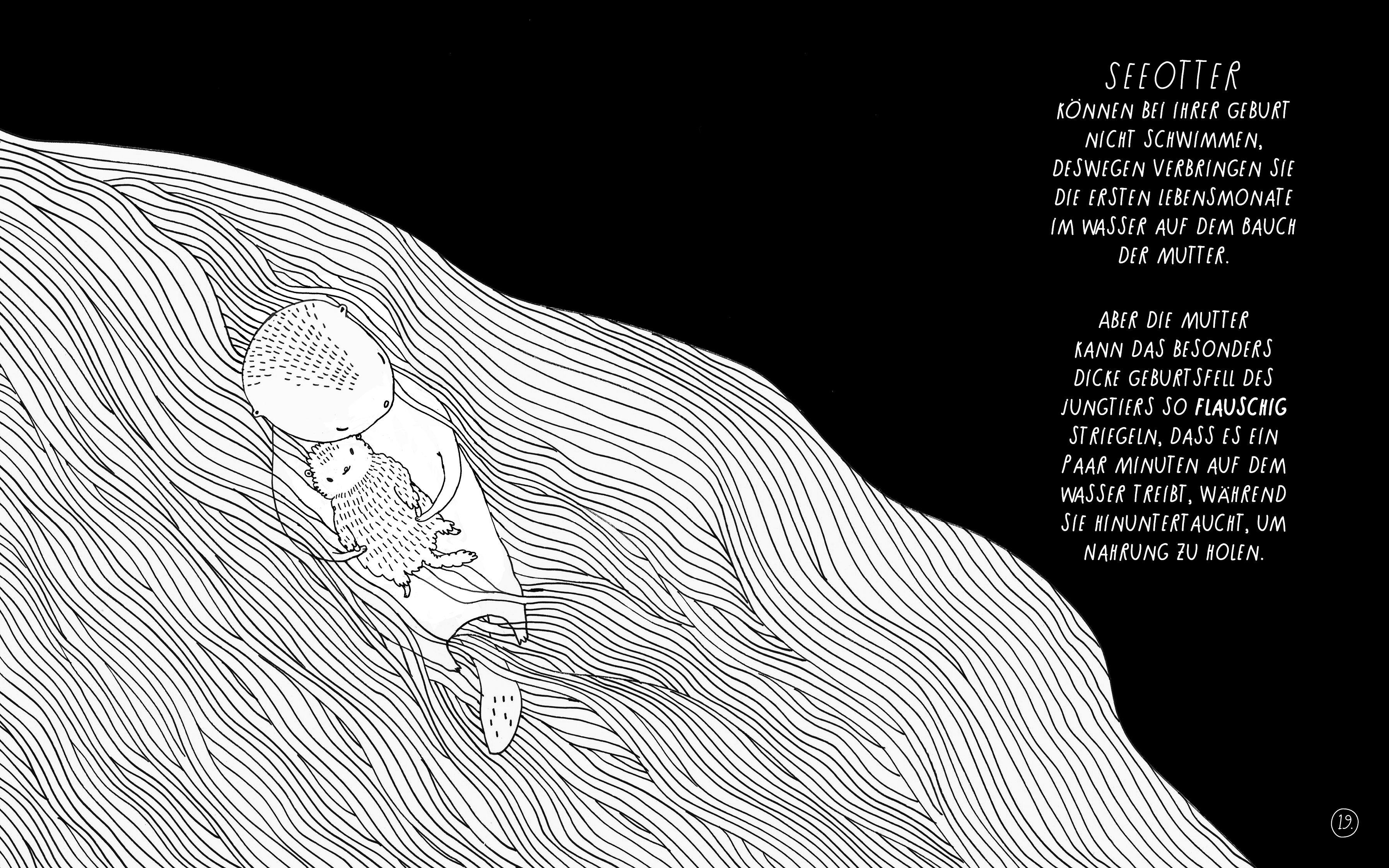 Beispielinhalt (Bild) Pinguine kuscheln gern, Eichhörnchen haben Milchzähne und Kamelkinder keine Höcker