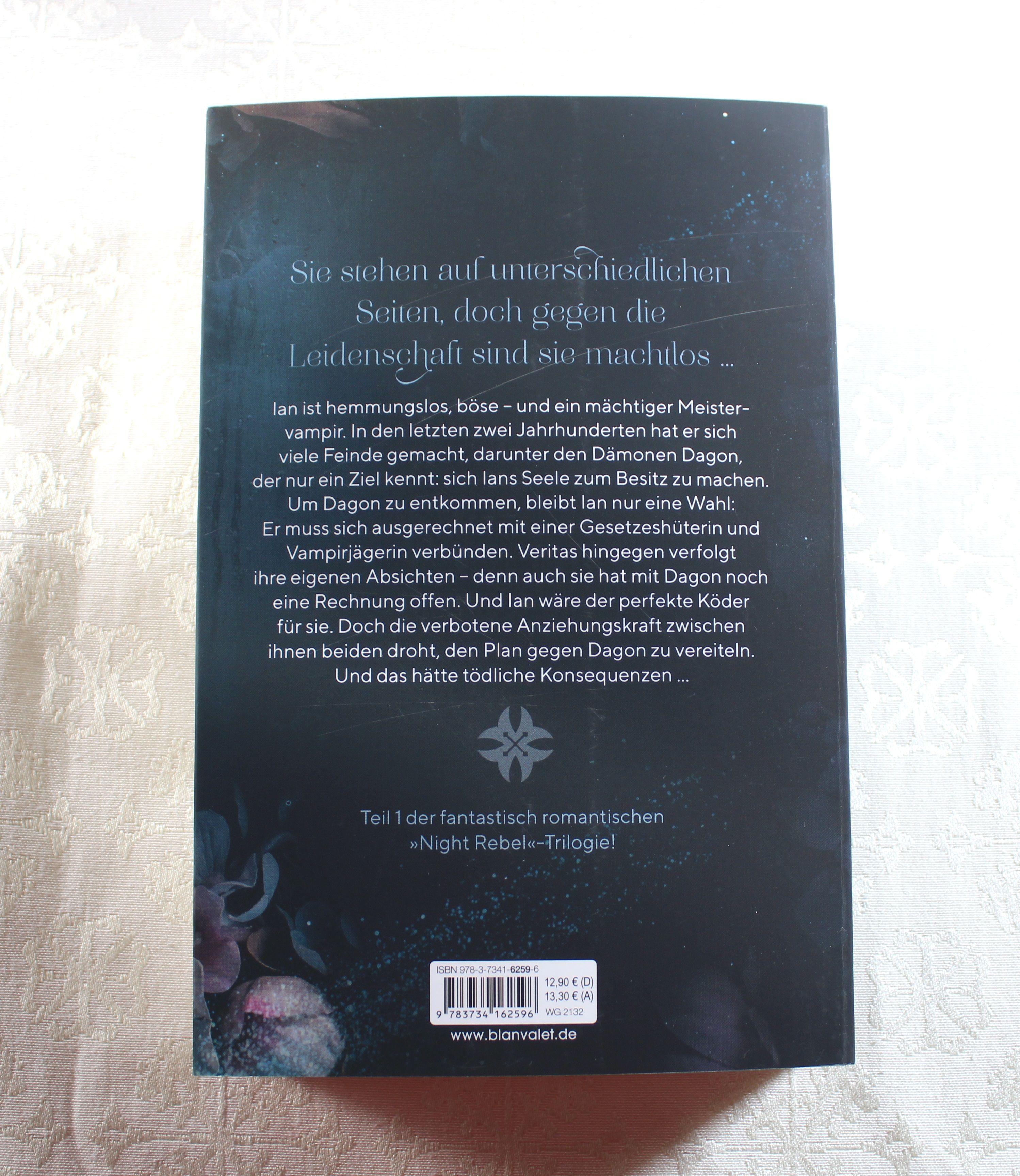 Beispielinhalt (Bild) Night Rebel 1 - Kuss der Dunkelheit