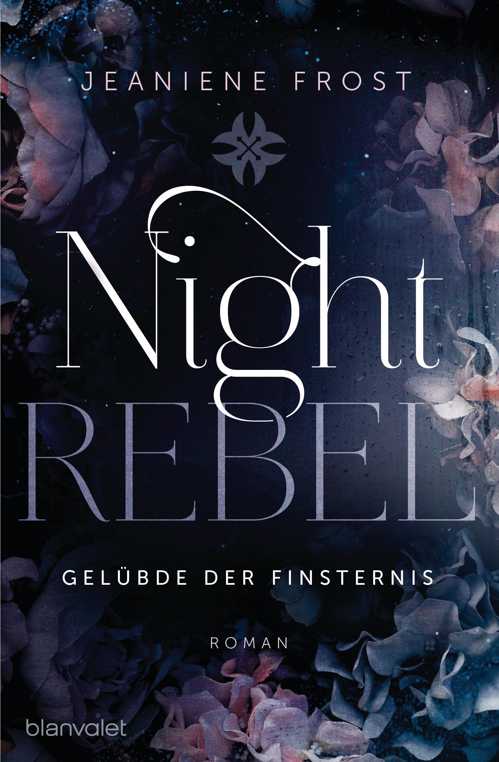 Vorderes Coverbild Night Rebel 3 - Gelübde der Finsternis