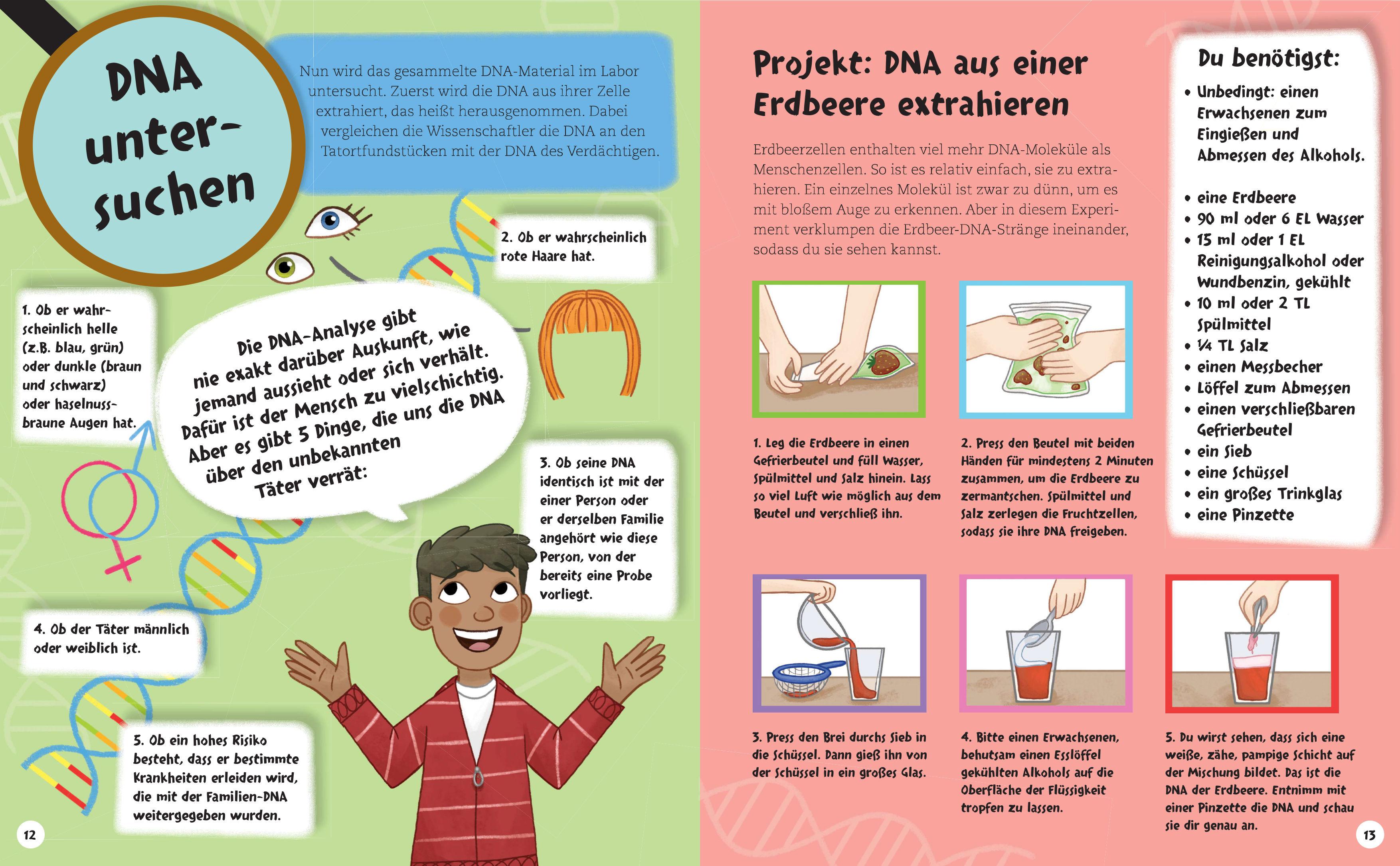 Beispielinhalt (Bild) Finde den Verbrecher! Spurensuche mit wissenschaftlichen Methoden. Für junge Detektive ab 8 Jahren. Spannende Fakten, Rätsel, Experimente und Beispiele aus Kriminalistik und Forensik.