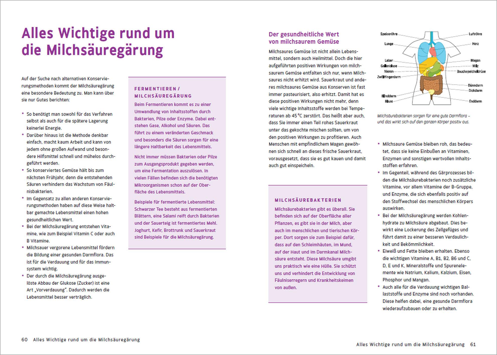 Beispielinhalt (Bild) Obst & Gemüse natürlich haltbar machen - Einlegen, einkochen, trocknen, entsaften, Milchsäuregärung, Kühlen, Lagern - Vorräte zur Selbstversorgung einfach selbst anlegen