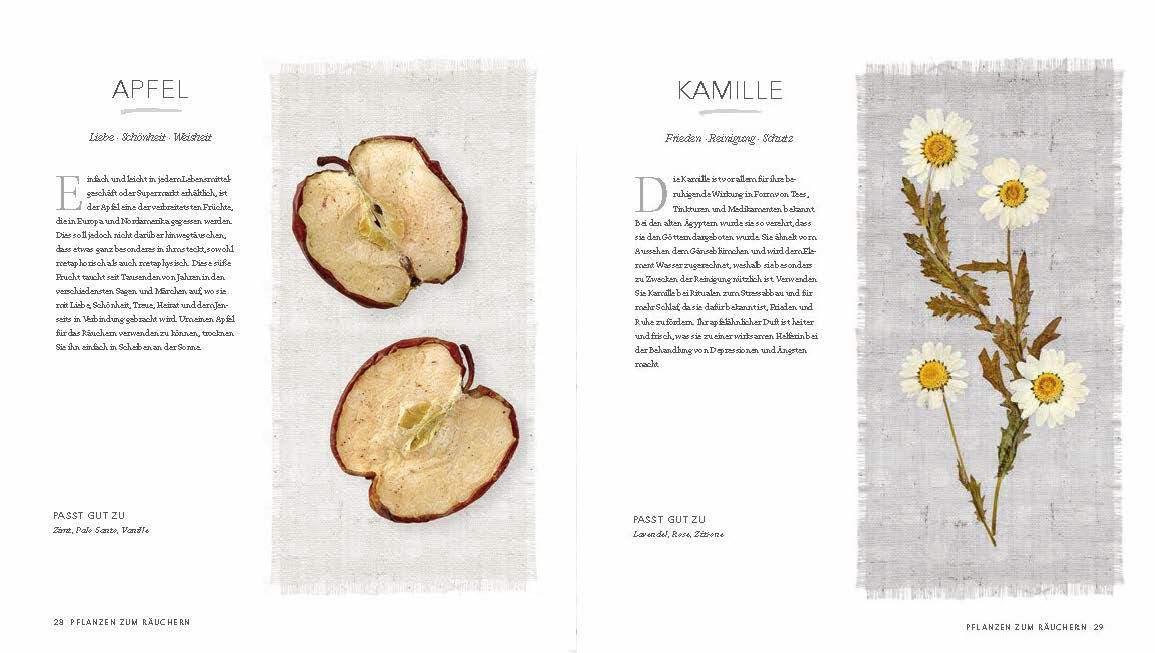 Beispielinhalt (Bild) Räucherrituale - Heilen, Segnen, Inspirieren