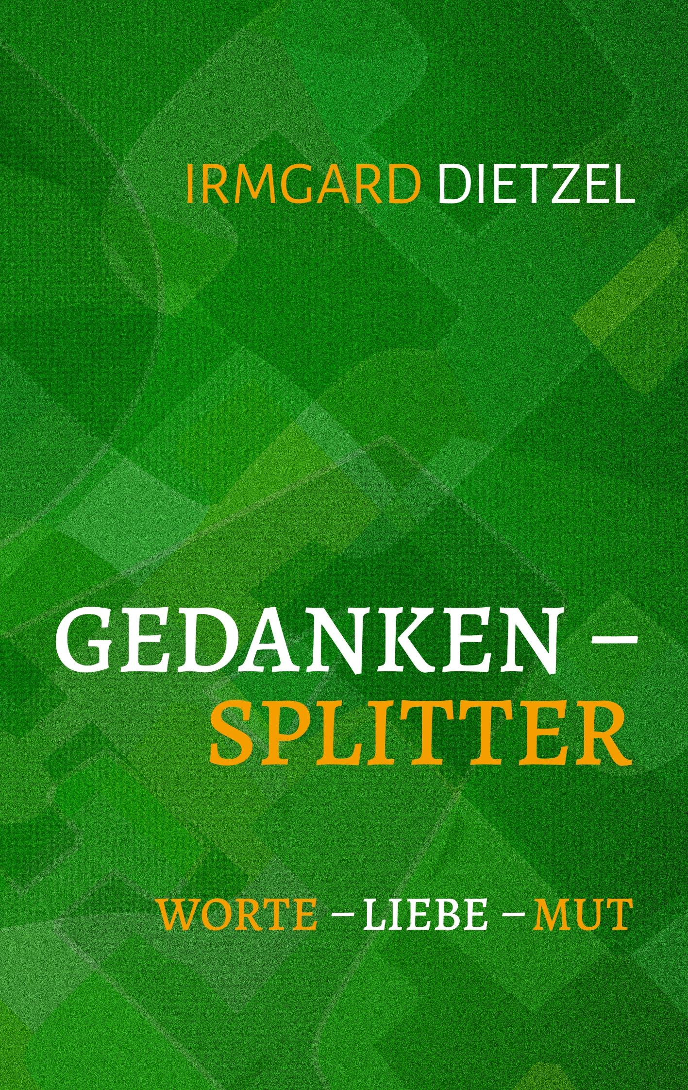 Vorderes Coverbild Gedankensplitter
