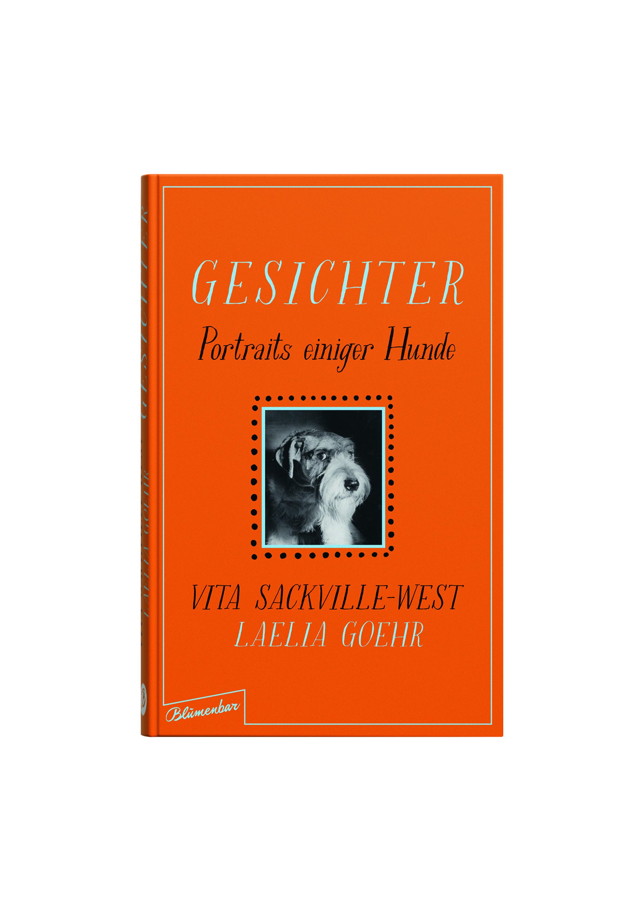 Beispielinhalt (Bild) Gesichter