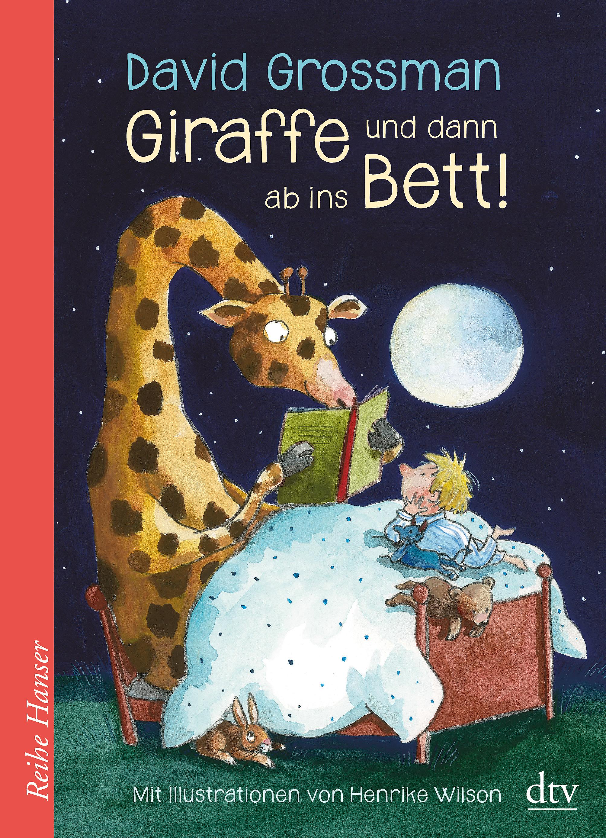 Vorderes Coverbild Giraffe und dann ab ins Bett!