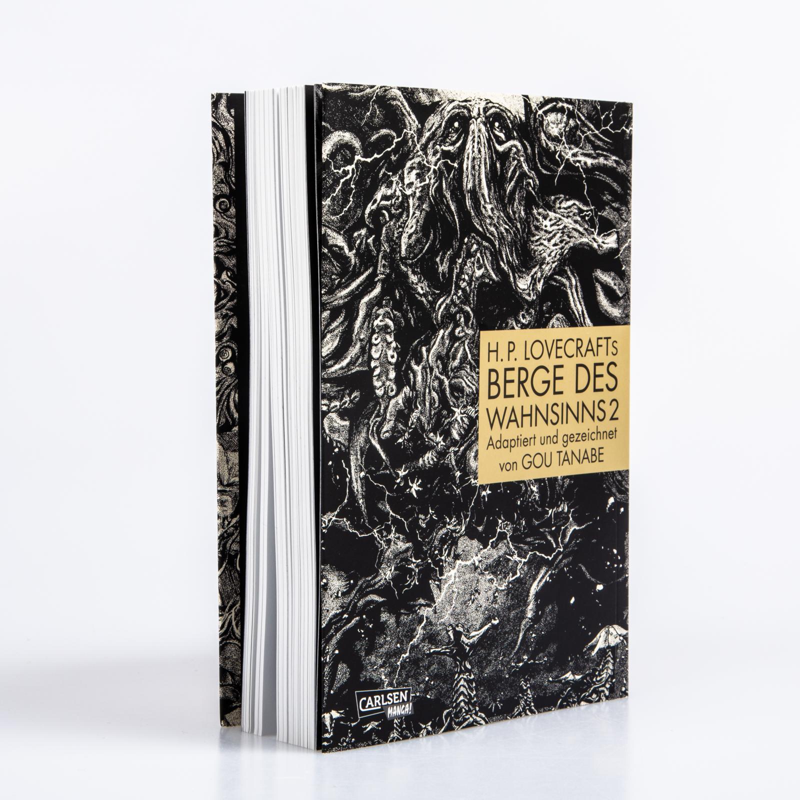 Beispielinhalt (Bild) H.P. Lovecrafts Berge des Wahnsinns 2