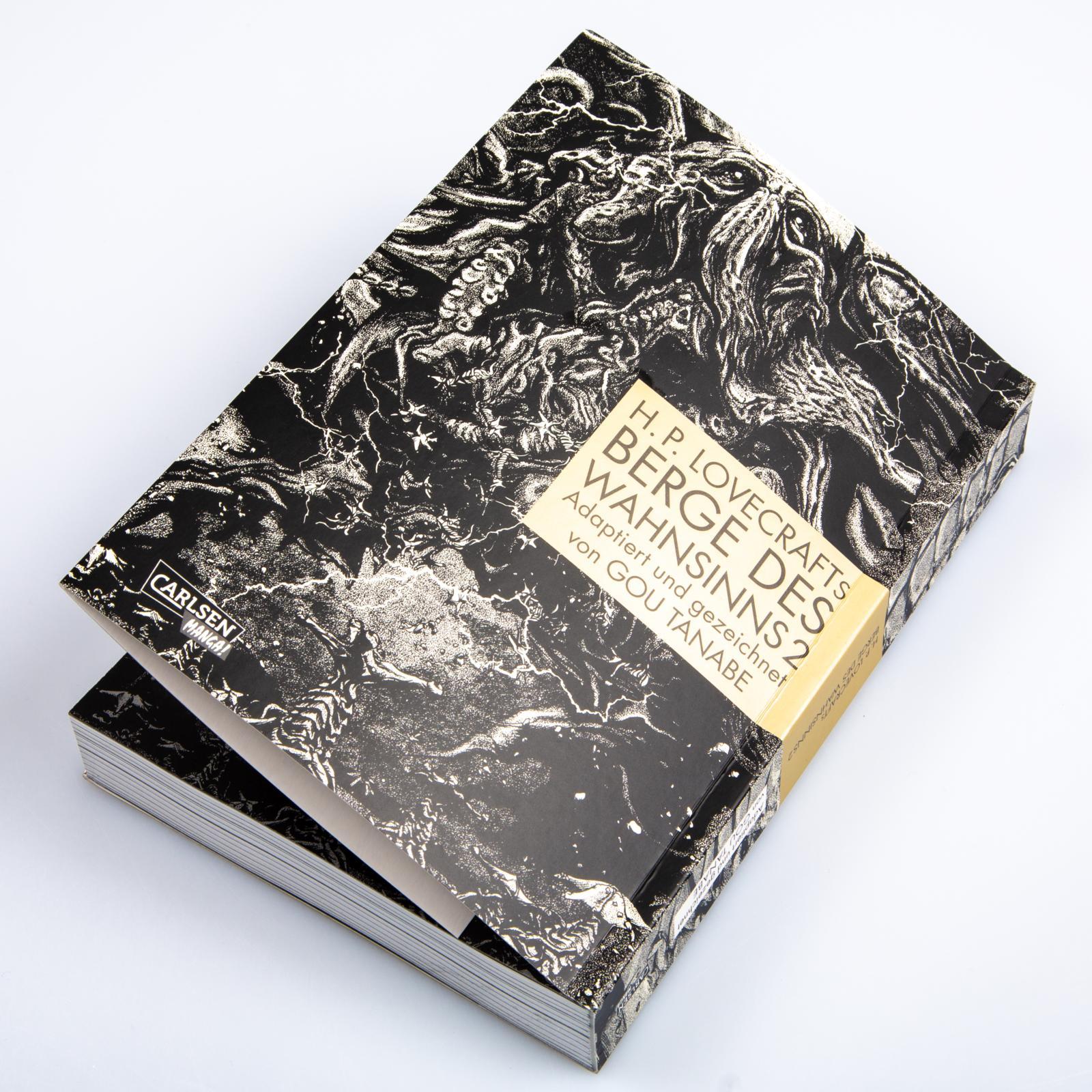 Beispielinhalt (Bild) H.P. Lovecrafts Berge des Wahnsinns 2