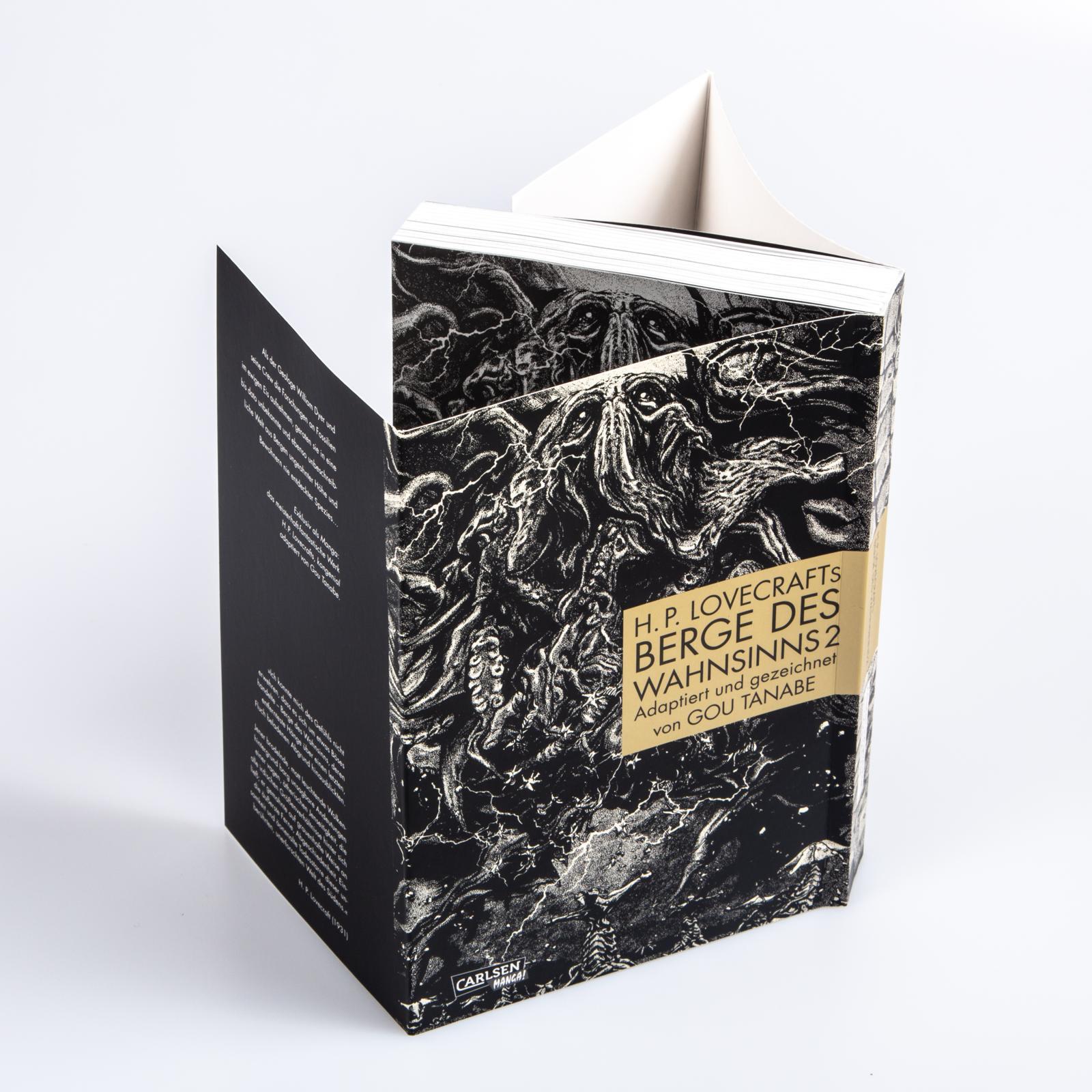 Beispielinhalt (Bild) H.P. Lovecrafts Berge des Wahnsinns 2