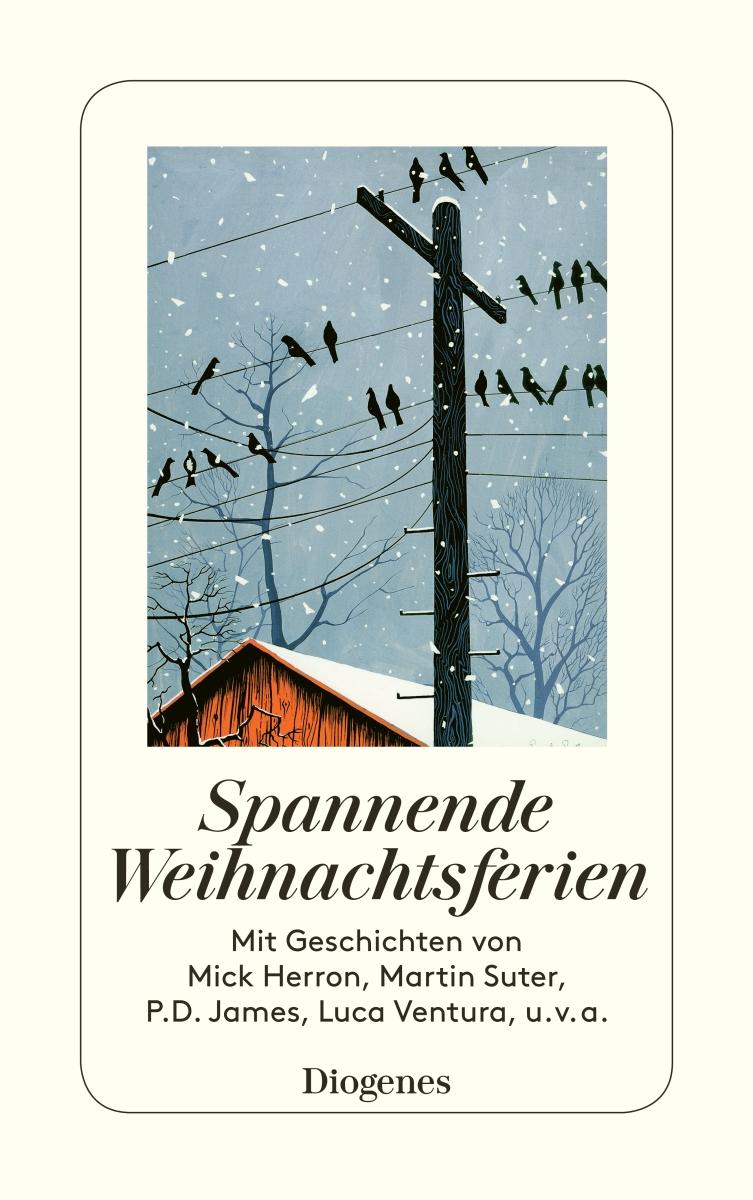 Vorderes Coverbild Spannende Weihnachtsferien