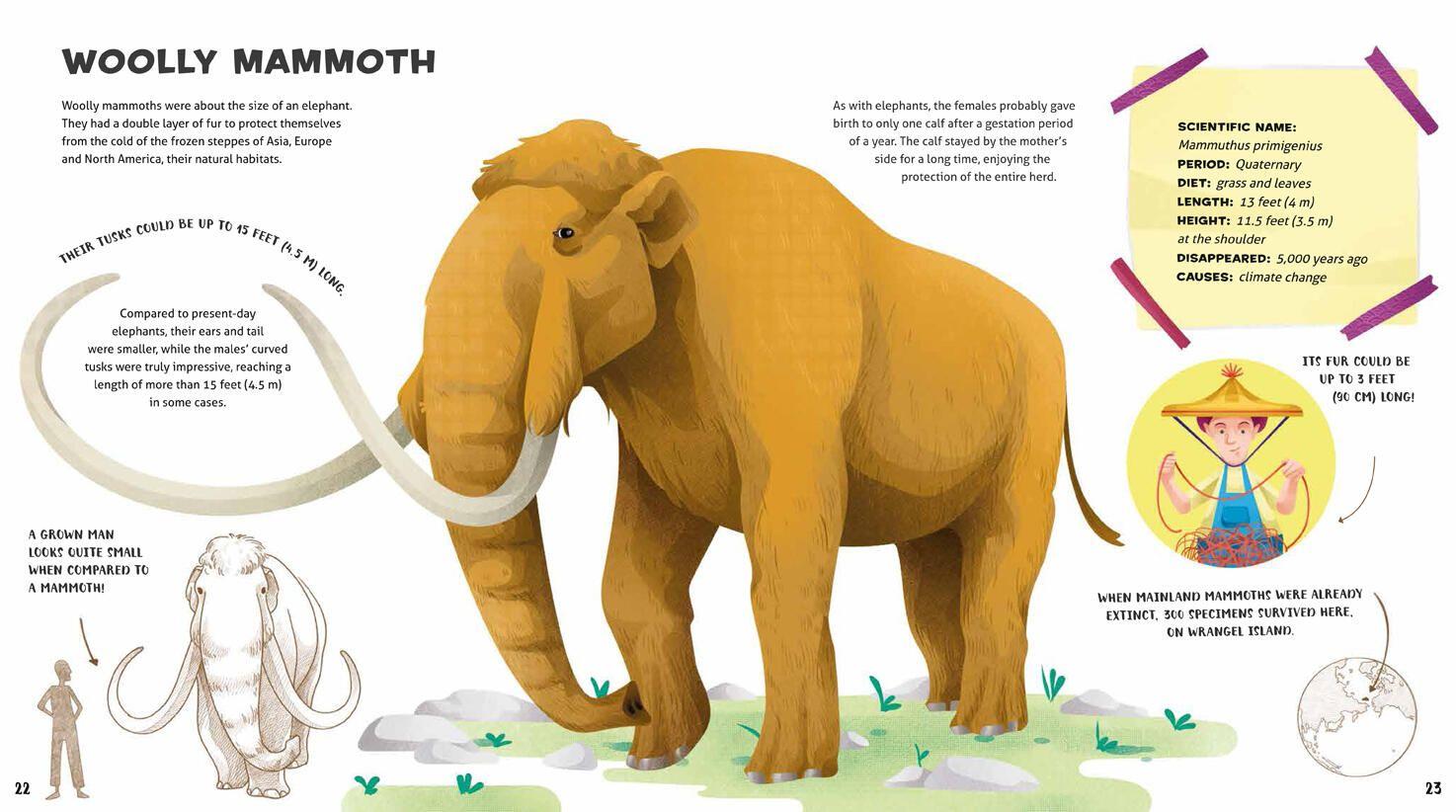 Beispielinhalt (Bild) Weird and Wonderful Extinct Animals