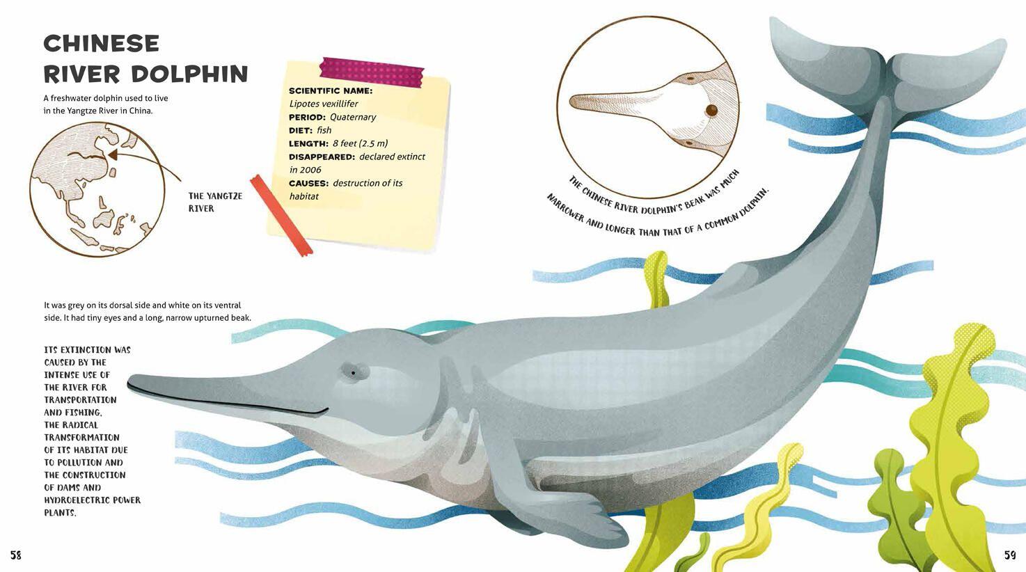 Beispielinhalt (Bild) Weird and Wonderful Extinct Animals