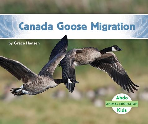 Vorderes Coverbild Canada Goose Migration