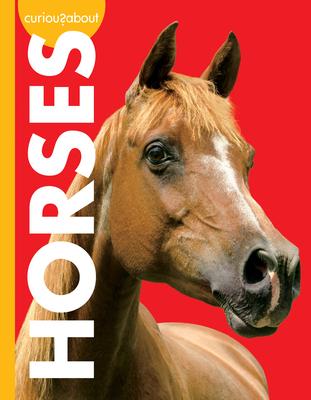 Vorderes Coverbild Curious about Horses