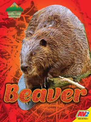 Vorderes Coverbild Beaver