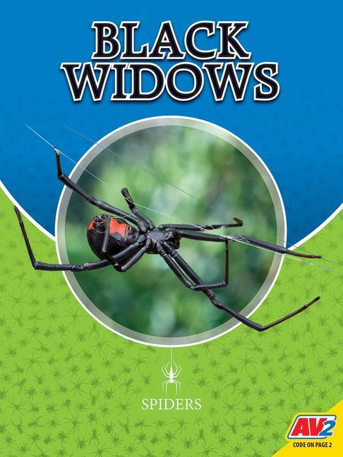 Vorderes Coverbild Black Widows