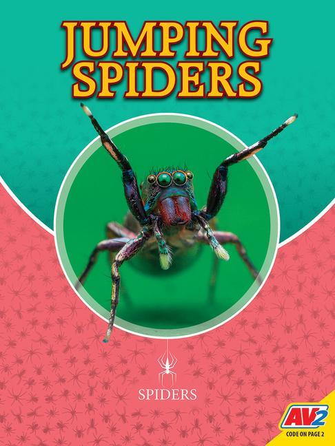 Vorderes Coverbild Jumping Spiders