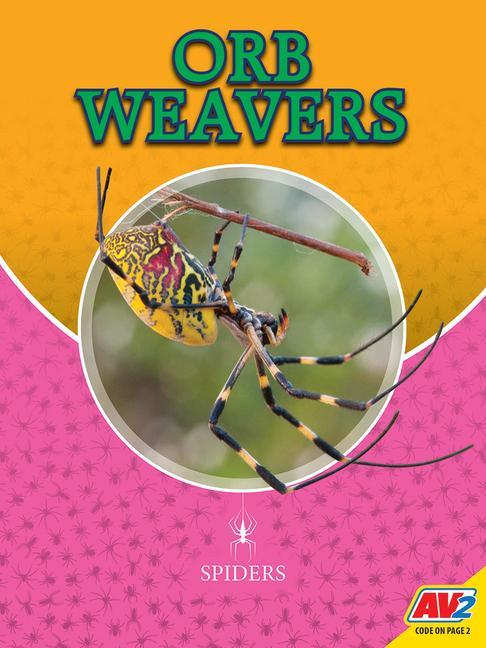Vorderes Coverbild Orb Weavers