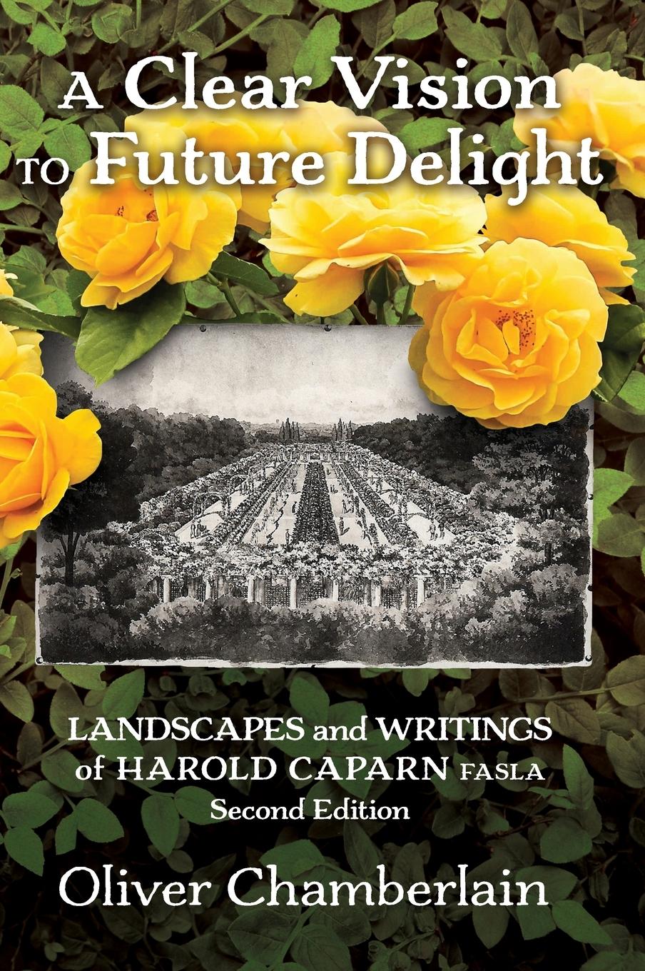 Vorderes Coverbild A Clear Vision to Future Delight