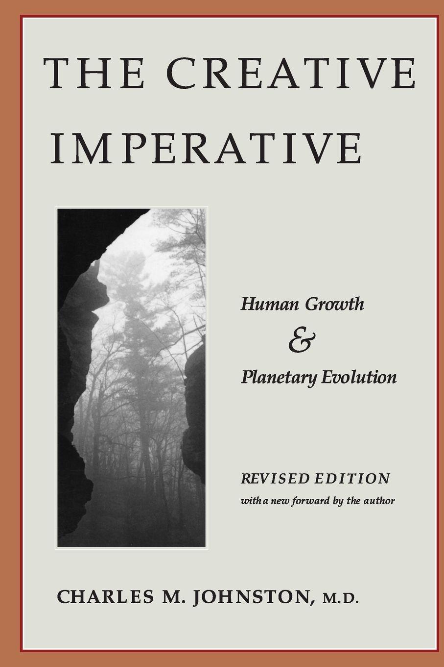 Vorderes Coverbild The Creative Imperative