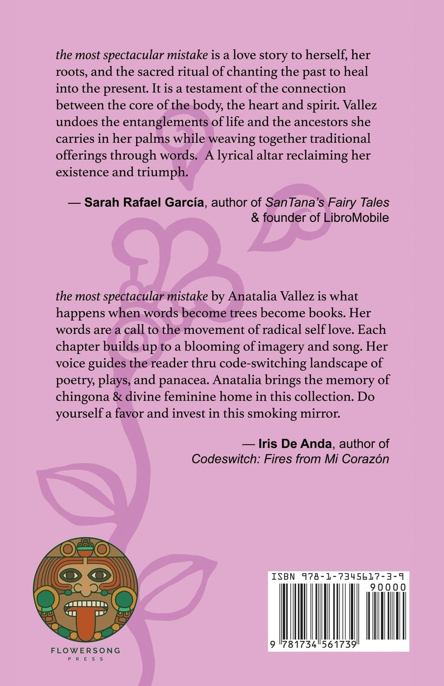 Rückseitencover the most spectacular mistake