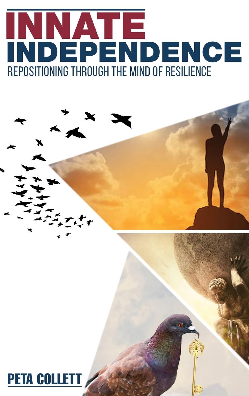 Vorderes Coverbild Innate Independence