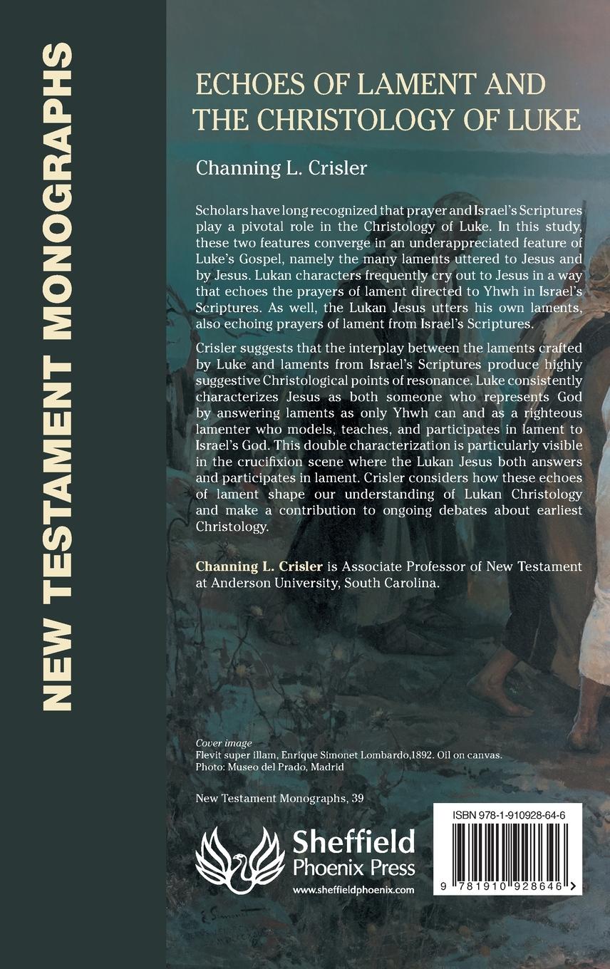 Rückseitencover Echoes of Lament in the Christology of Luke's Gospel